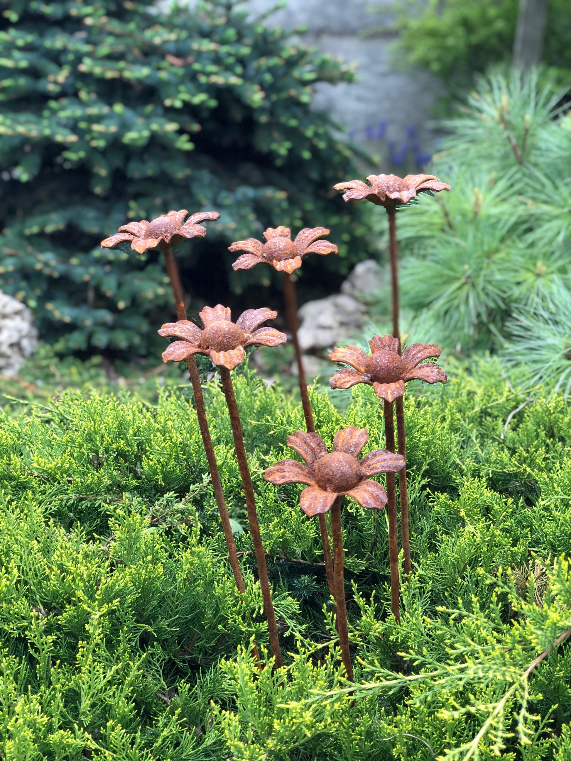 Rusty flowers set of 6, 6 Rusty flowers garden stakes, Metal garden decor, metal yard art, outdoor metal decor, Rusty metal garden decor