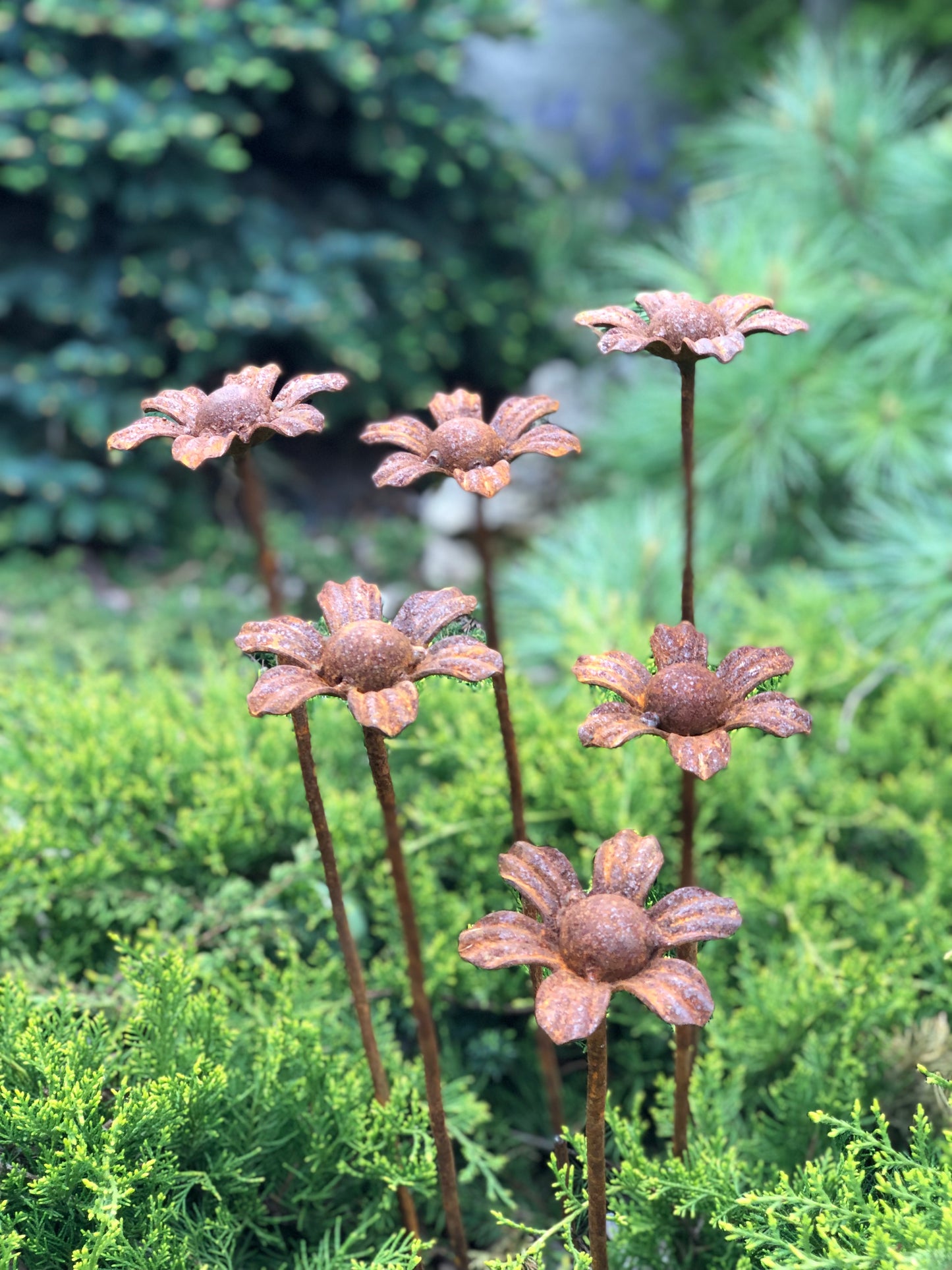 Rusty flowers set of 6, 6 Rusty flowers garden stakes, Metal garden decor, metal yard art, outdoor metal decor, Rusty metal garden decor