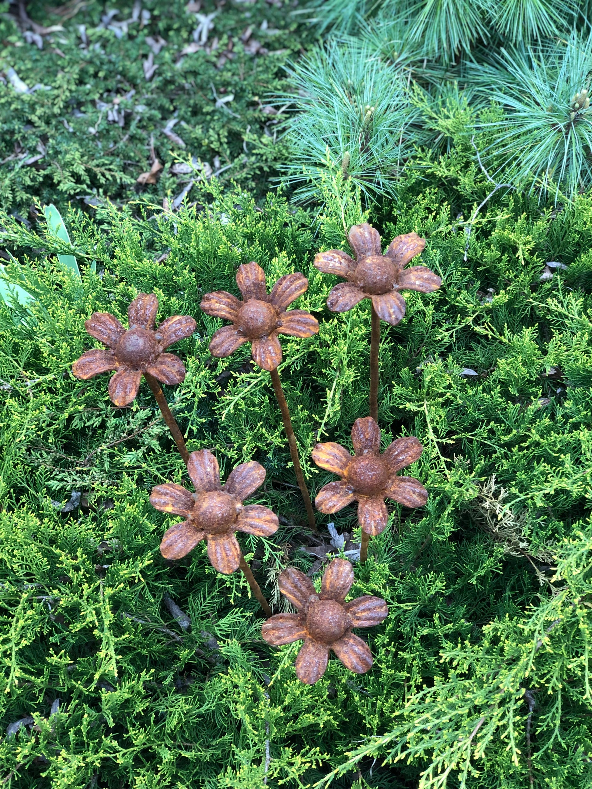 Rusty flowers set of 6, 6 Rusty flowers garden stakes, Metal garden decor, metal yard art, outdoor metal decor, Rusty metal garden decor