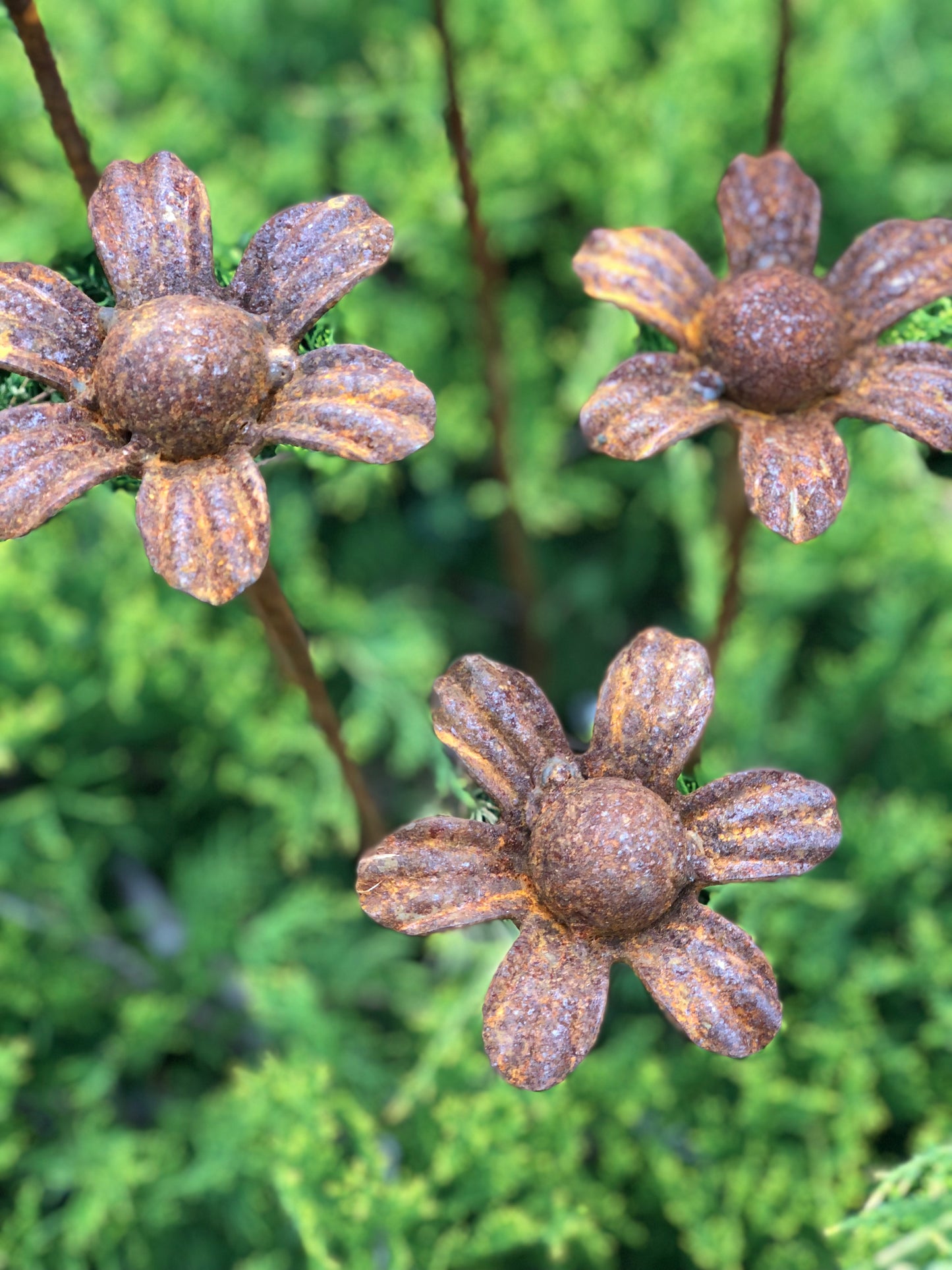 Rusty flowers set of 6, 6 Rusty flowers garden stakes, Metal garden decor, metal yard art, outdoor metal decor, Rusty metal garden decor