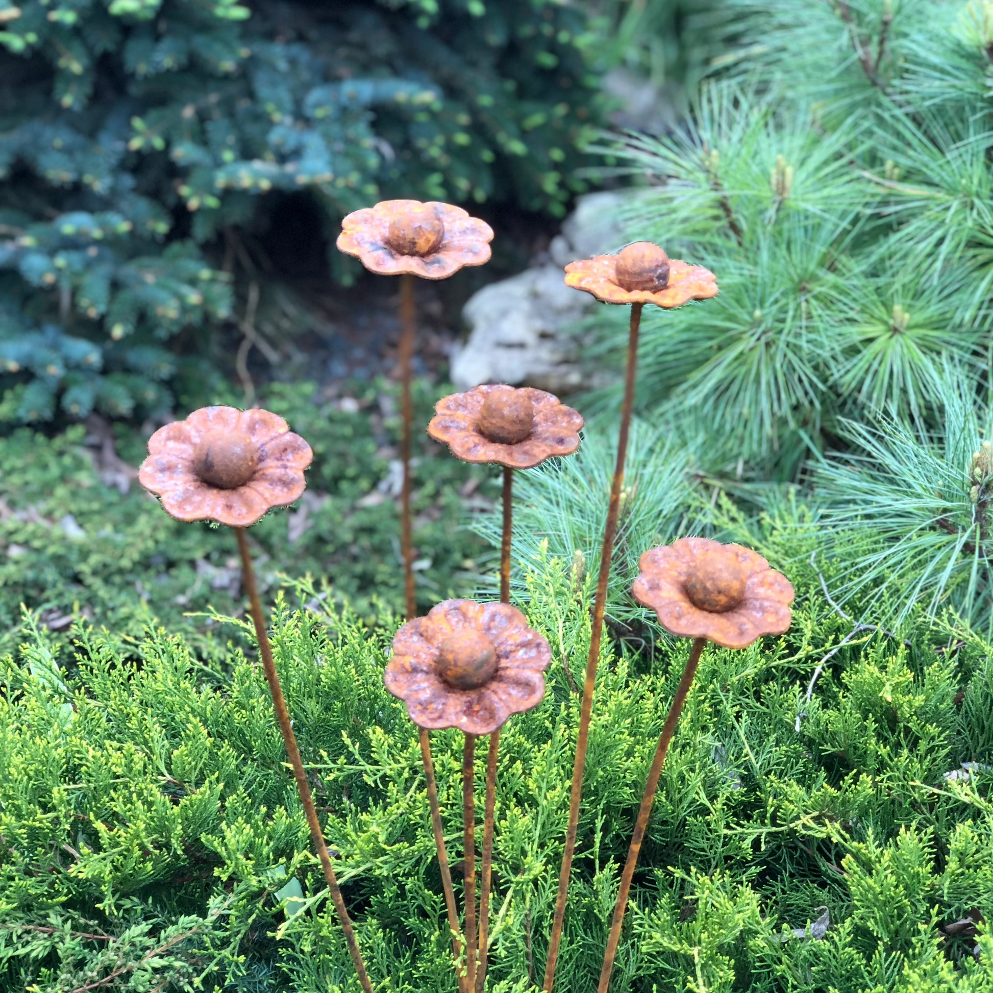 Rusty flowers set of 6, 6 Rusty flowers garden stakes, Metal garden decor, Metal yard art, Outdoor metal decor, Rusty metal garden decor