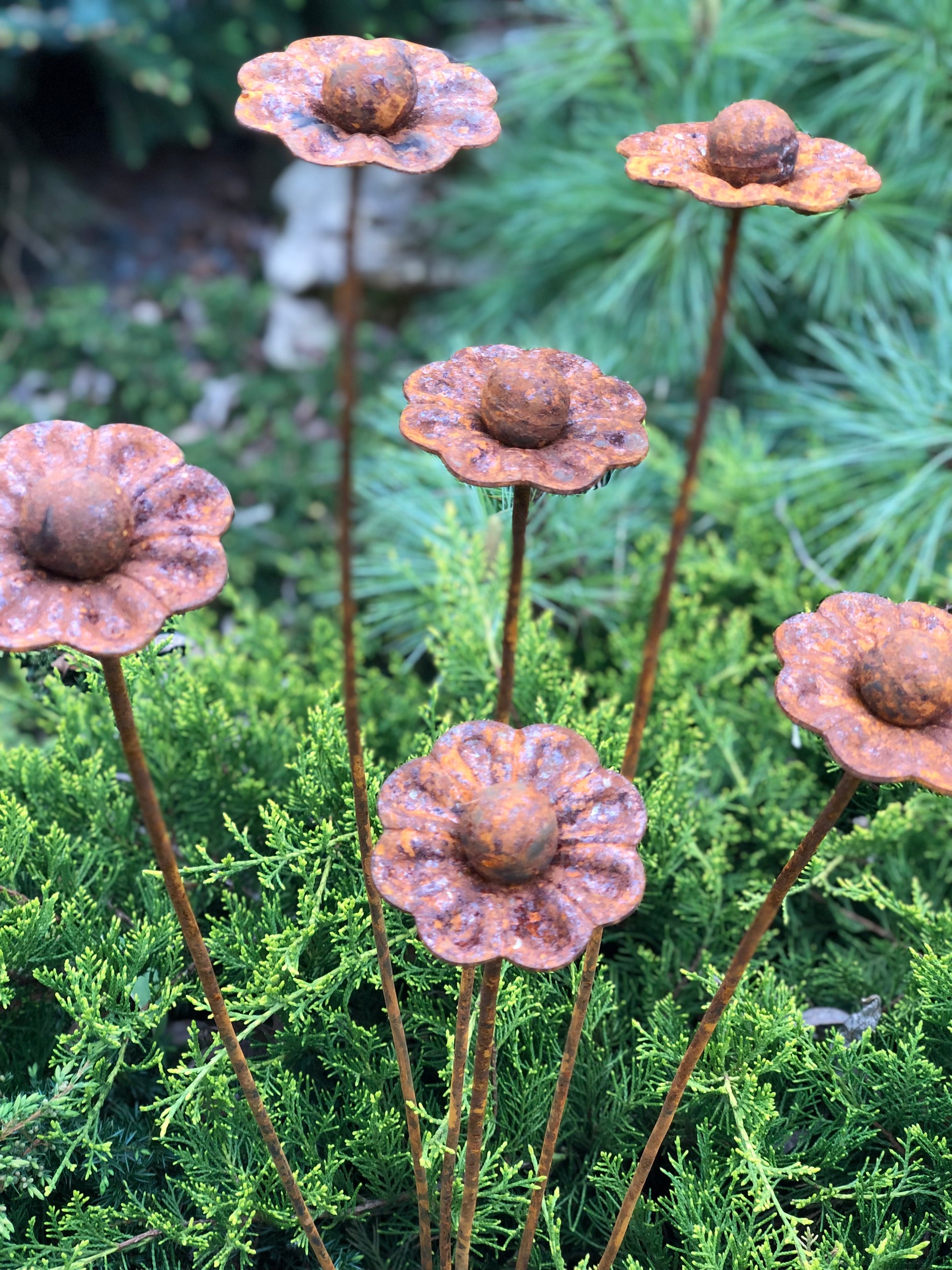 Rusty flowers set of 6, 6 Rusty flowers garden stakes, Metal garden decor, Metal yard art, Outdoor metal decor, Rusty metal garden decor