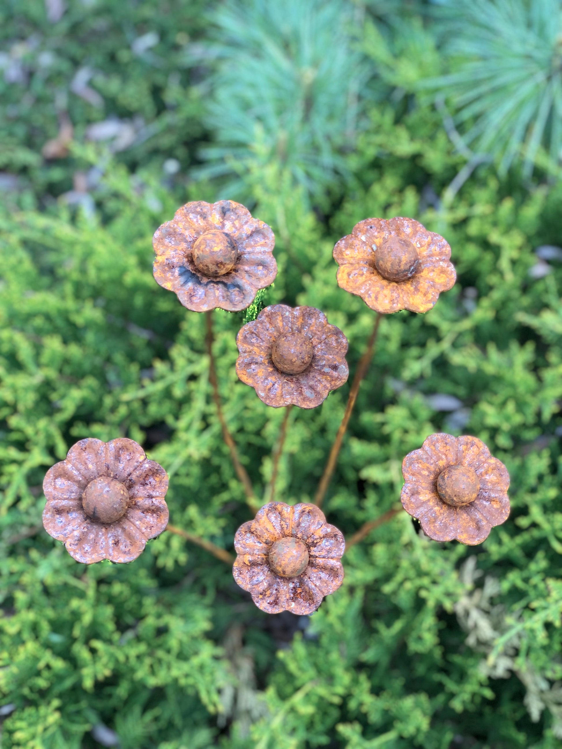 Rusty flowers set of 6, 6 Rusty flowers garden stakes, Metal garden decor, Metal yard art, Outdoor metal decor, Rusty metal garden decor