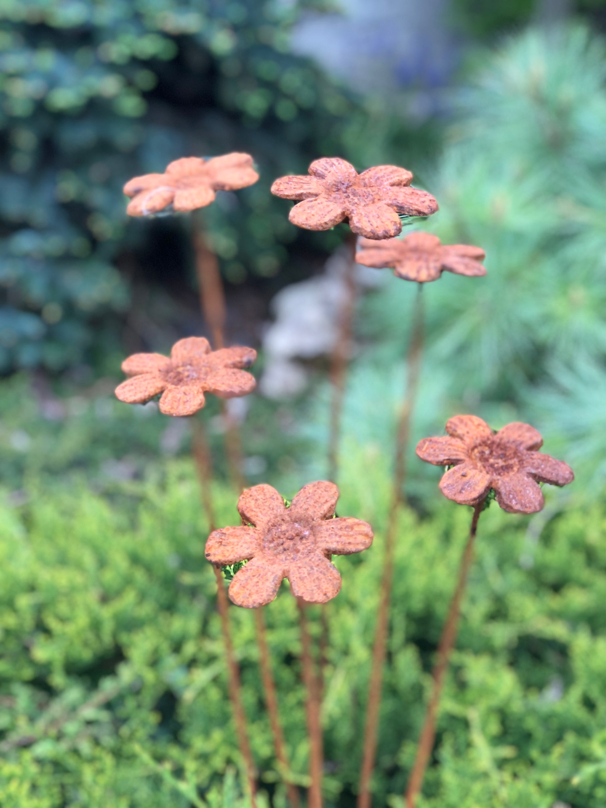 Rusty flowers set of 6, 6 Rusty flowers garden stakes, Metal garden decor, metal yard art, outdoor metal decor, Rusty metal garden decor