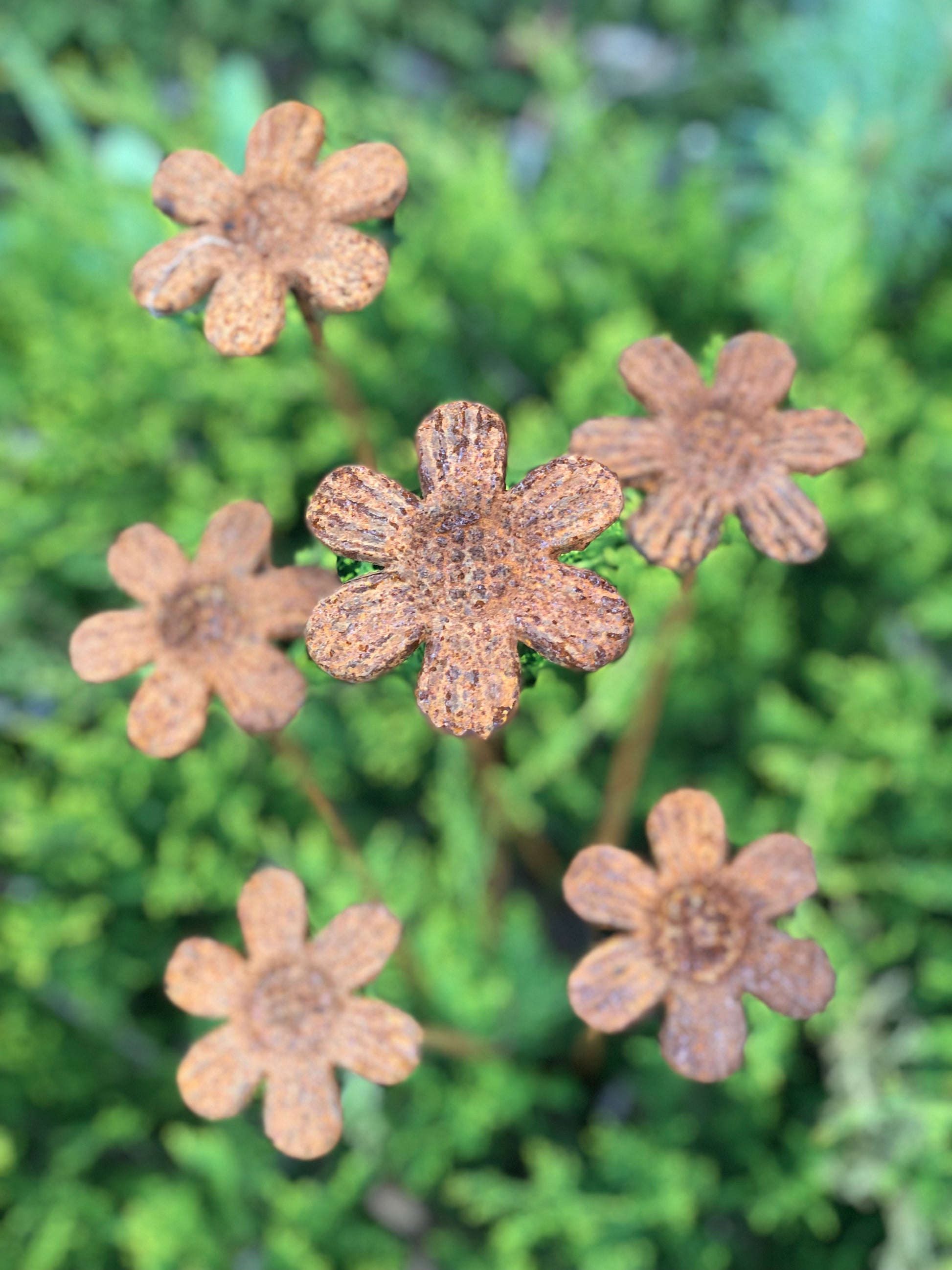 Rusty flowers set of 6, 6 Rusty flowers garden stakes, Metal garden decor, metal yard art, outdoor metal decor, Rusty metal garden decor