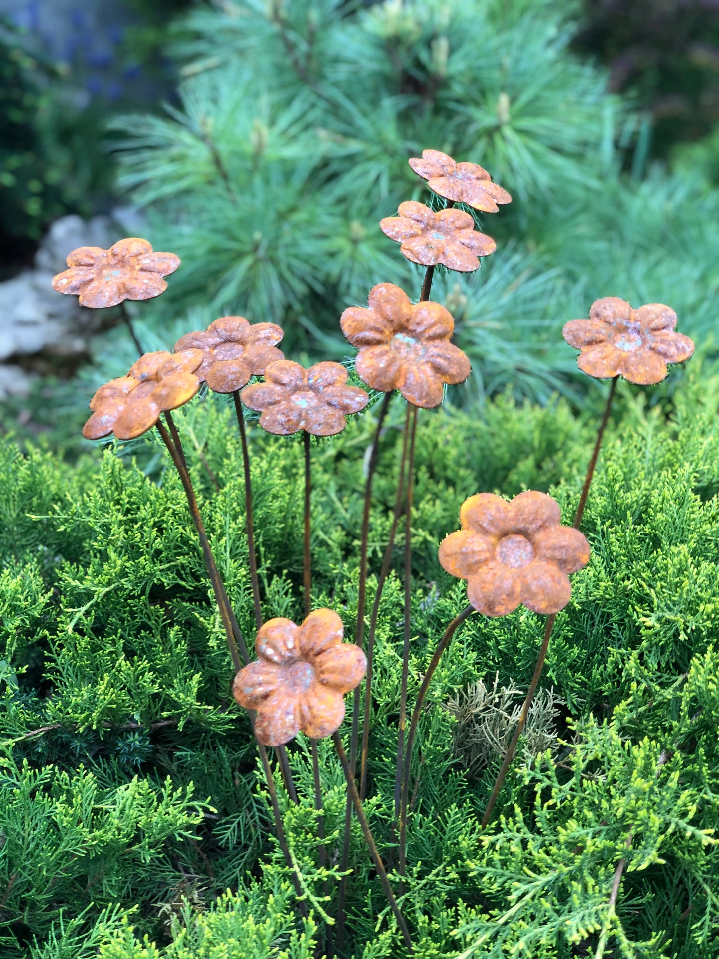 Rusty flowers set of 10, Flowers garden decor, Metal rain catchers, metal yard art, outdoor metal decor, Rusty metal garden decor