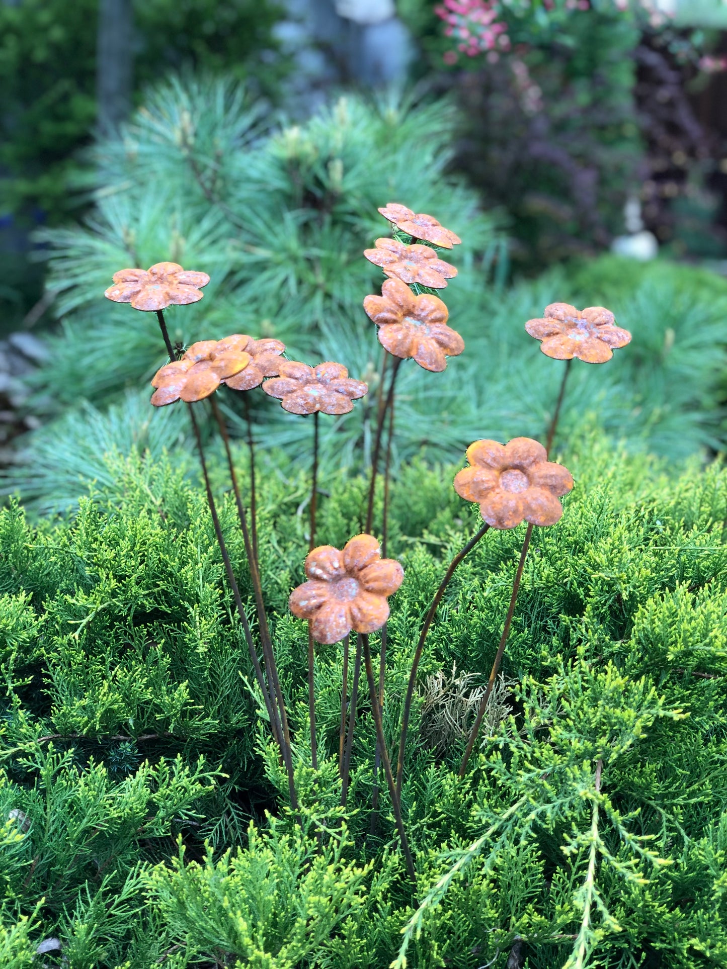 Rusty flowers set of 10, Flowers garden decor, Metal rain catchers, metal yard art, outdoor metal decor, Rusty metal garden decor