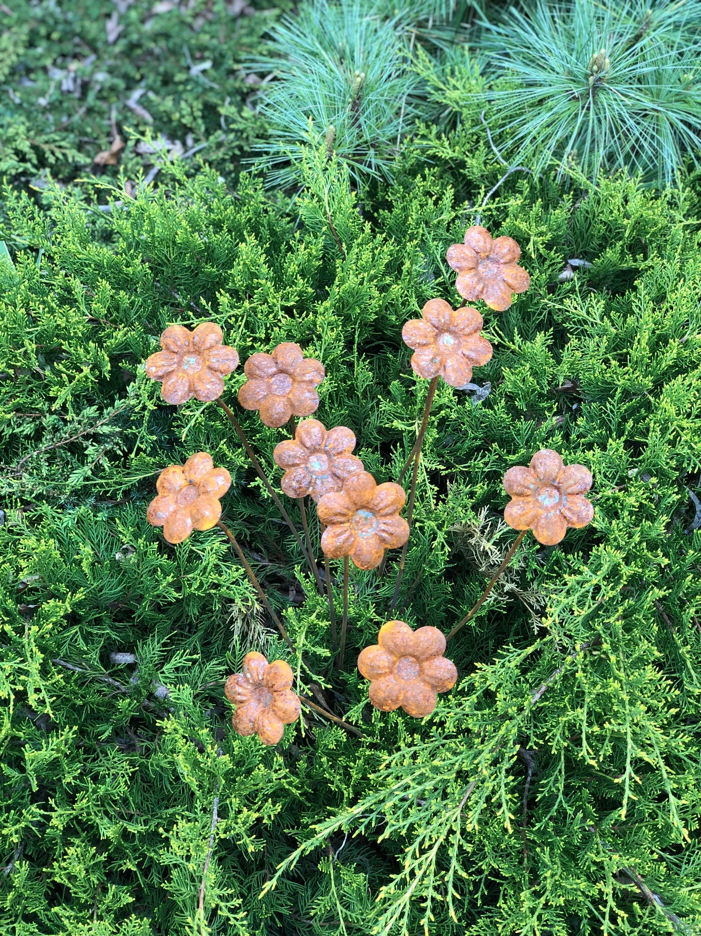 Rusty flowers set of 10, Flowers garden decor, Metal rain catchers, metal yard art, outdoor metal decor, Rusty metal garden decor