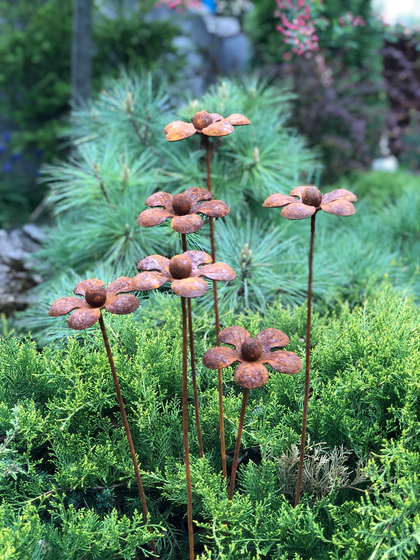 Rusty flowers set of 6, 6 Rusty flowers garden stakes, Metal garden decor, metal yard art, outdoor metal decor, Rusty metal garden decor