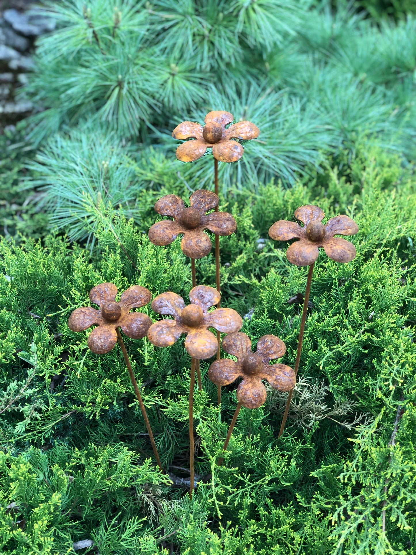 Rusty flowers set of 6, 6 Rusty flowers garden stakes, Metal garden decor, metal yard art, outdoor metal decor, Rusty metal garden decor