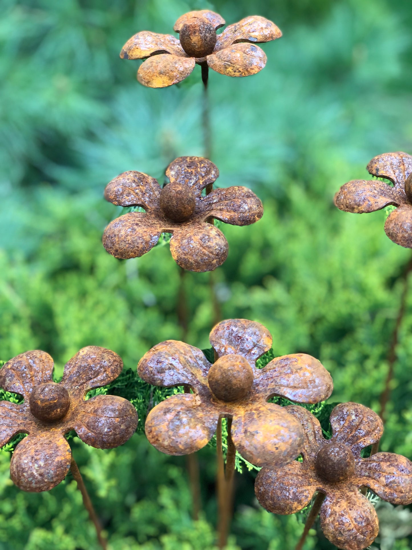 Rusty flowers set of 6, 6 Rusty flowers garden stakes, Metal garden decor, metal yard art, outdoor metal decor, Rusty metal garden decor