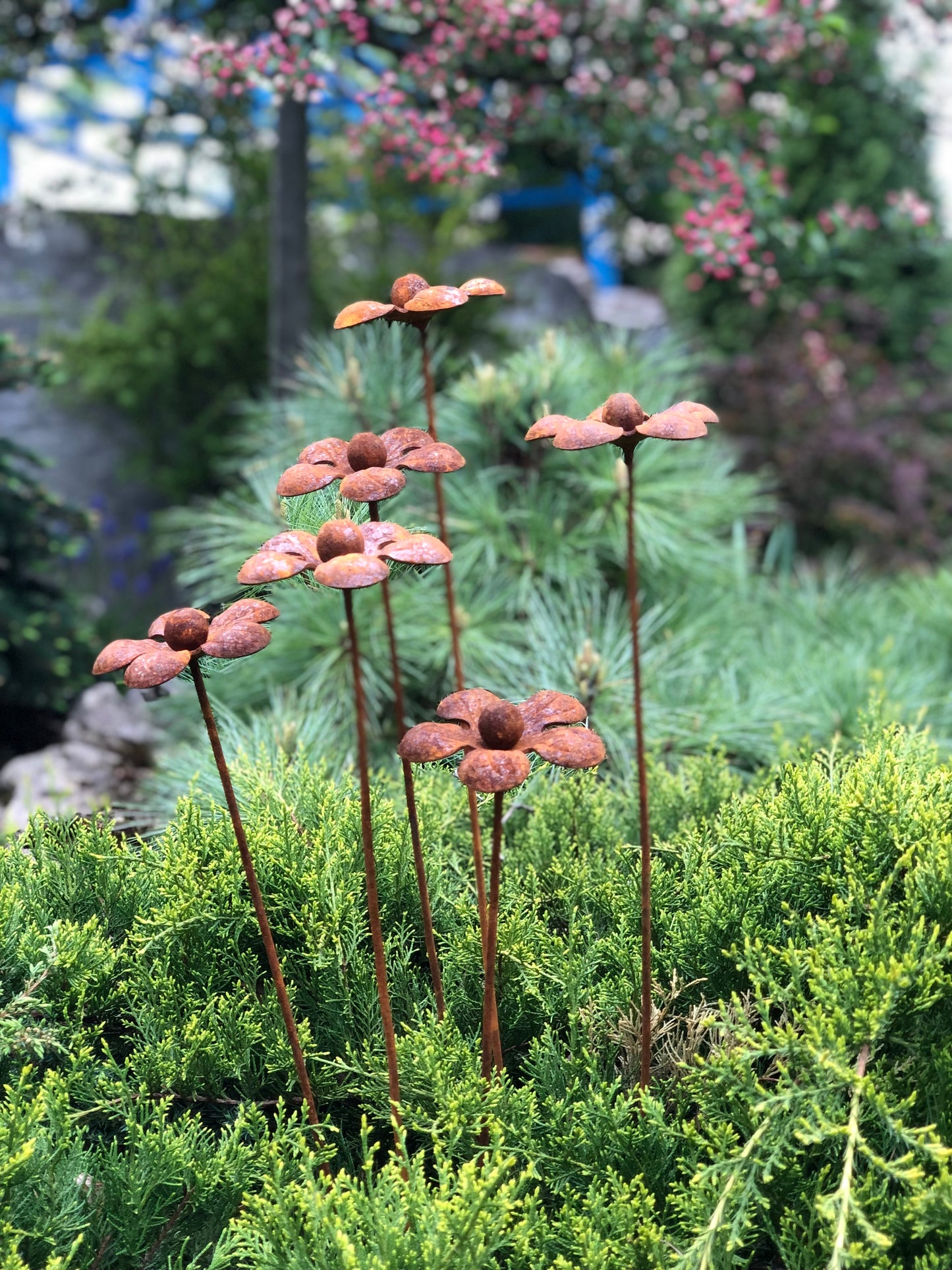 Rusty flowers set of 6, 6 Rusty flowers garden stakes, Metal garden decor, metal yard art, outdoor metal decor, Rusty metal garden decor