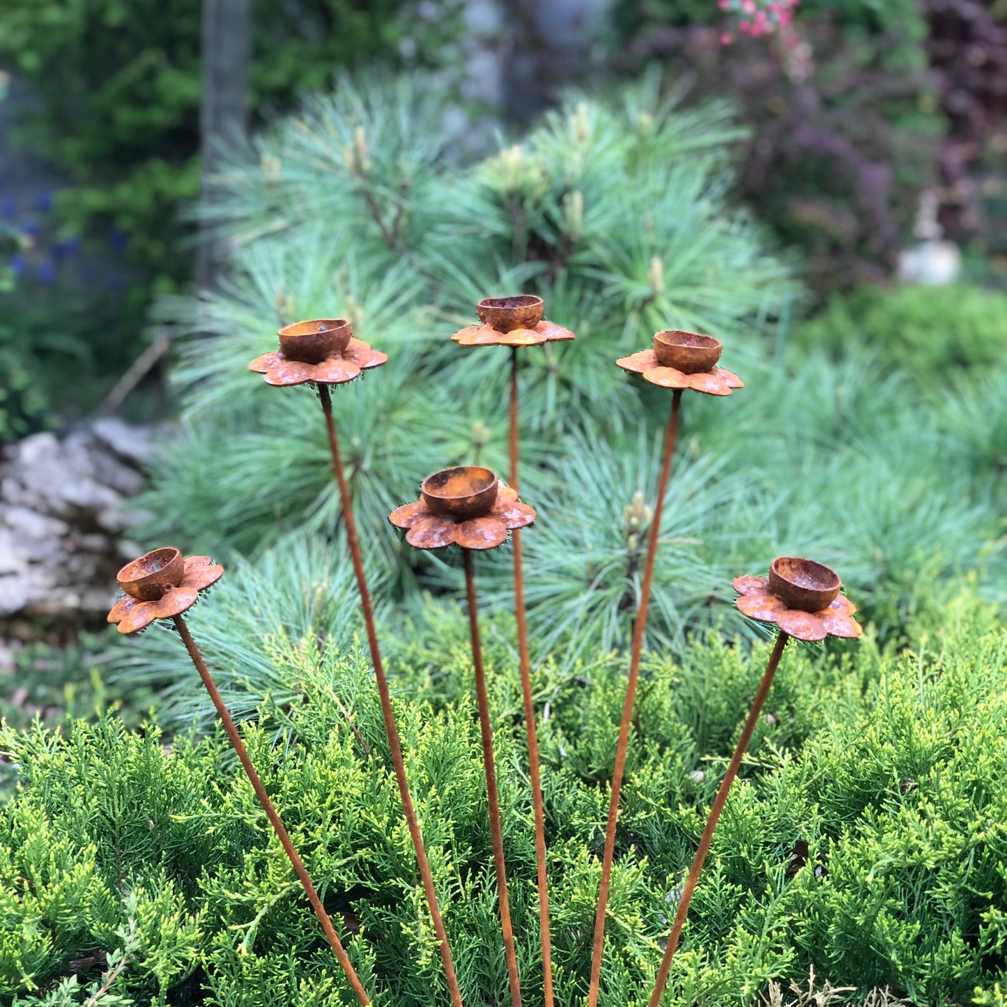 Rusty Flowers Set of 6 – Garden Stakes, Metal Garden Decor, Rain Catchers, Outdoor Metal Art, Rustic Yard Sculpture, Weathered Garden Accent