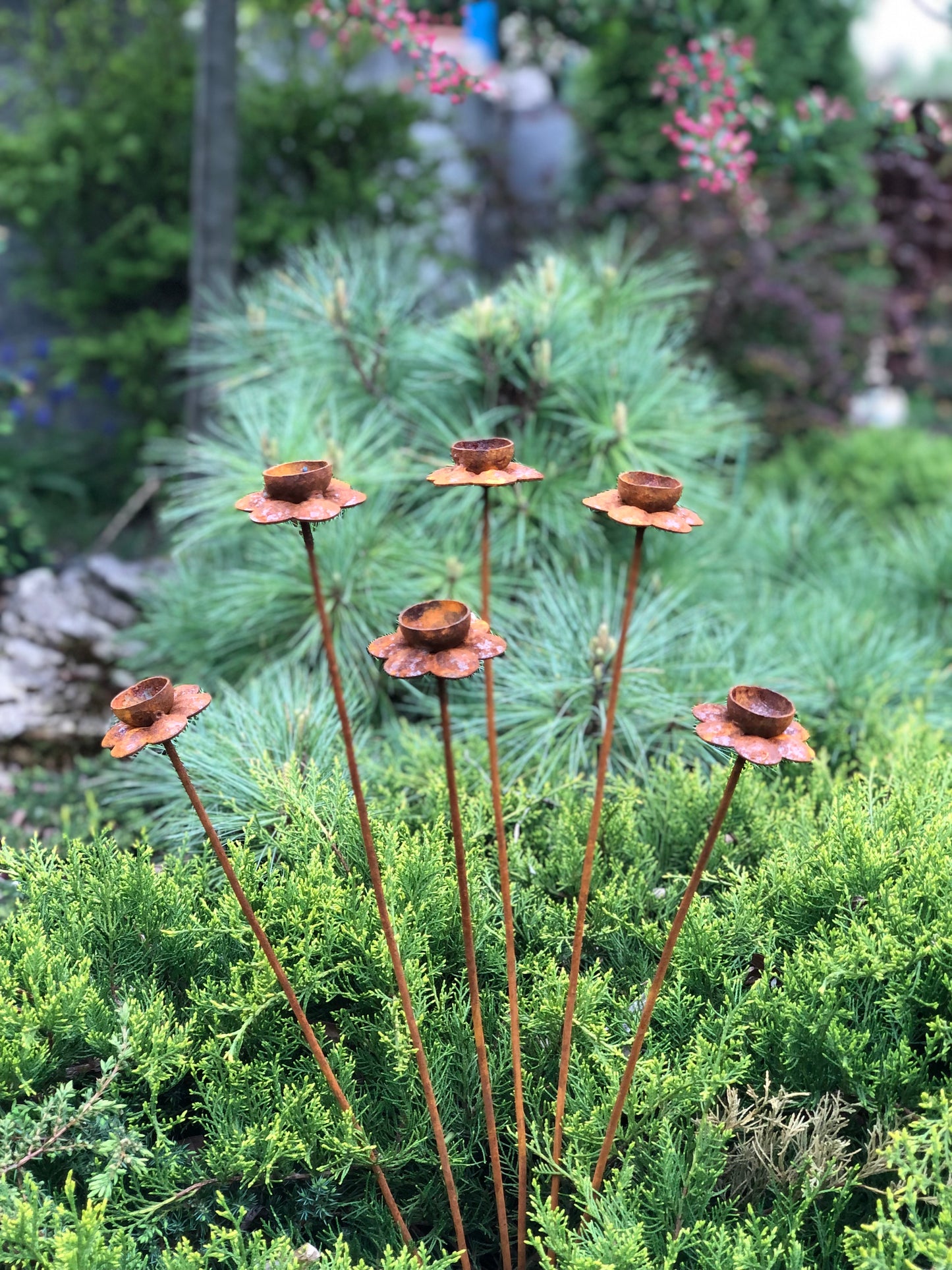 Set of 6 rusty daffodil flowers, a narcissus head garden decoration, metal garden decor, metal yard art, outdoor metal decor.