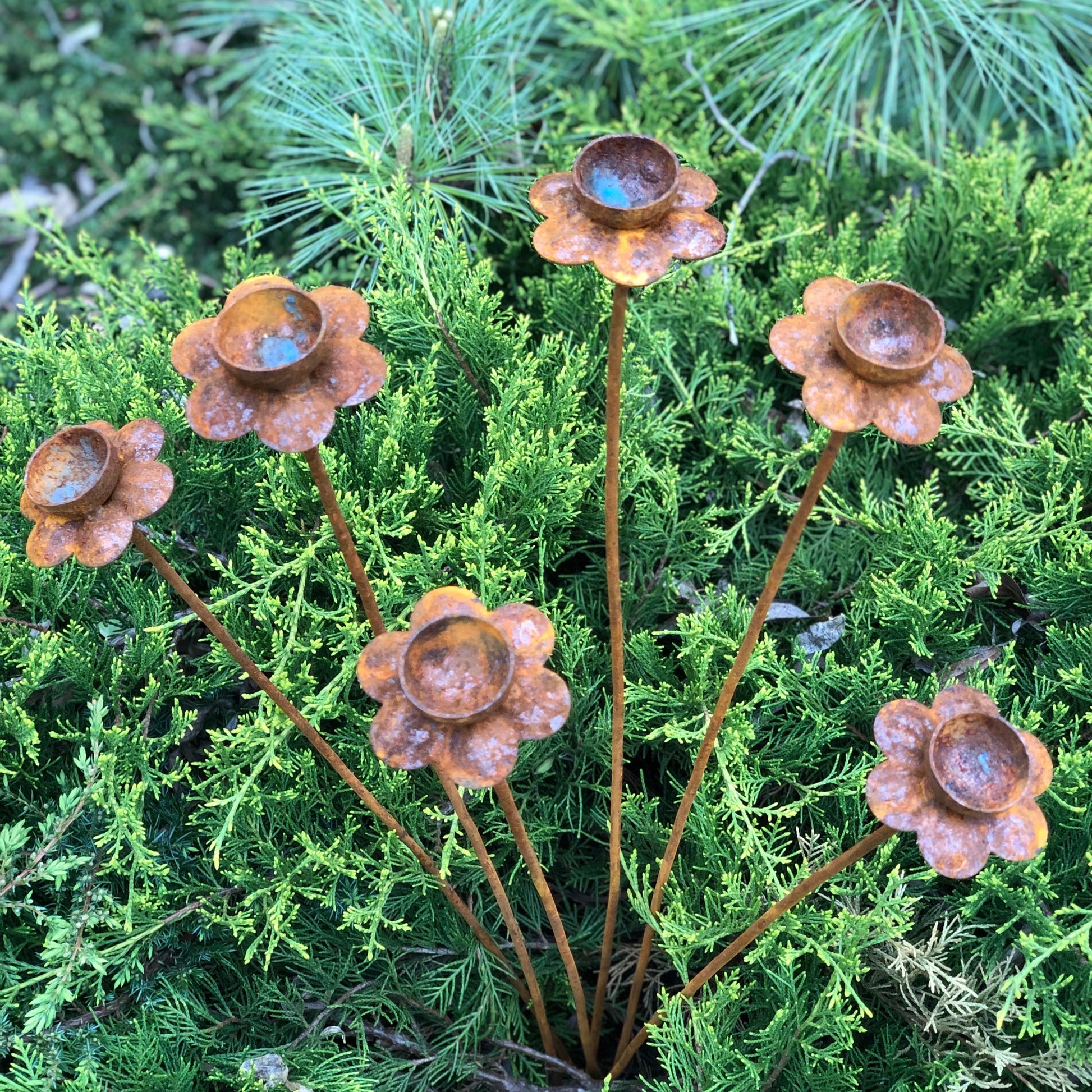 Rusty Flowers Set of 6 – Garden Stakes, Metal Garden Decor, Rain Catchers, Outdoor Metal Art, Rustic Yard Sculpture, Weathered Garden Accent