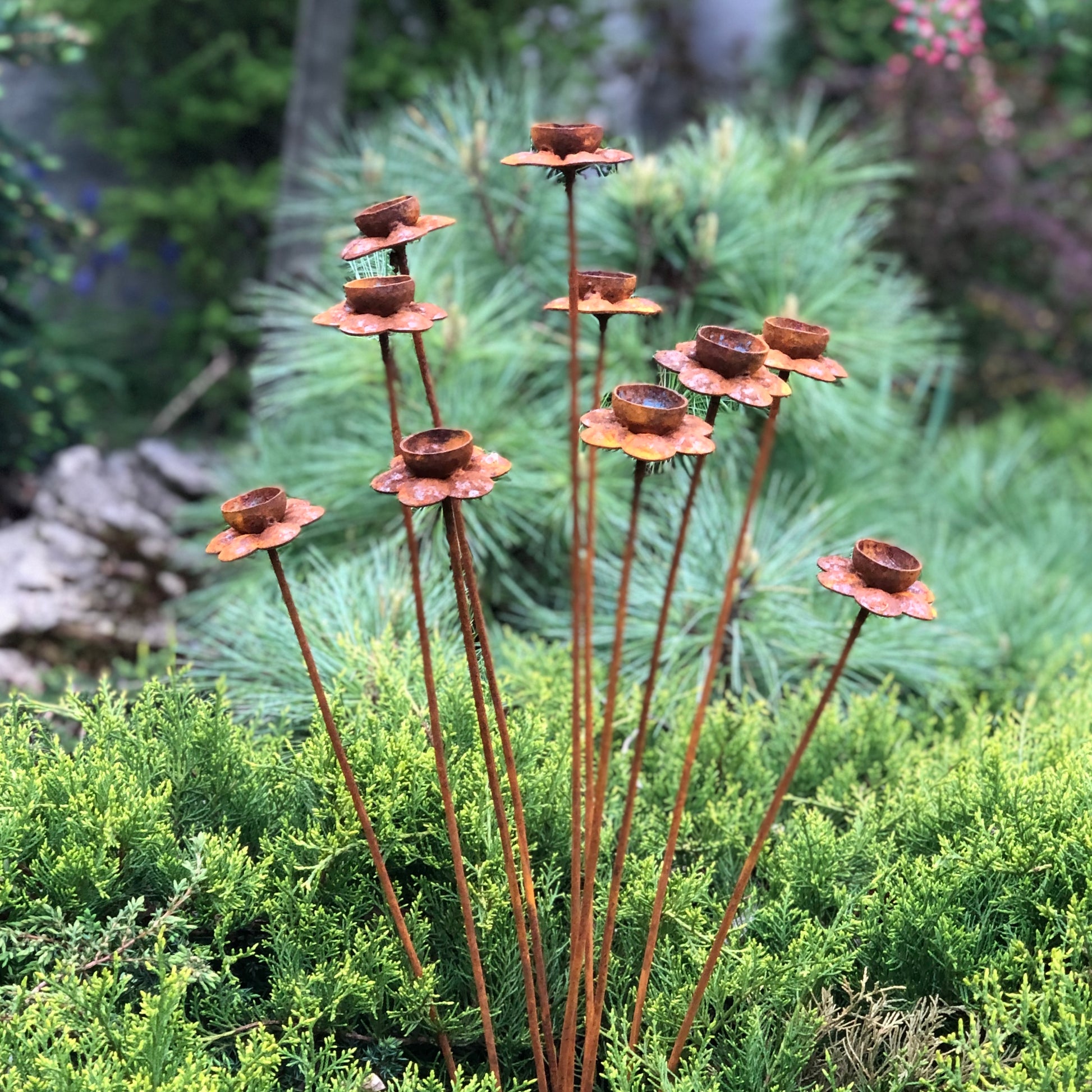 Set of 10 rusty Daffodil flowers, Narcissus head garden decoration, Metal garden decor, metal yard art, outdoor metal decor