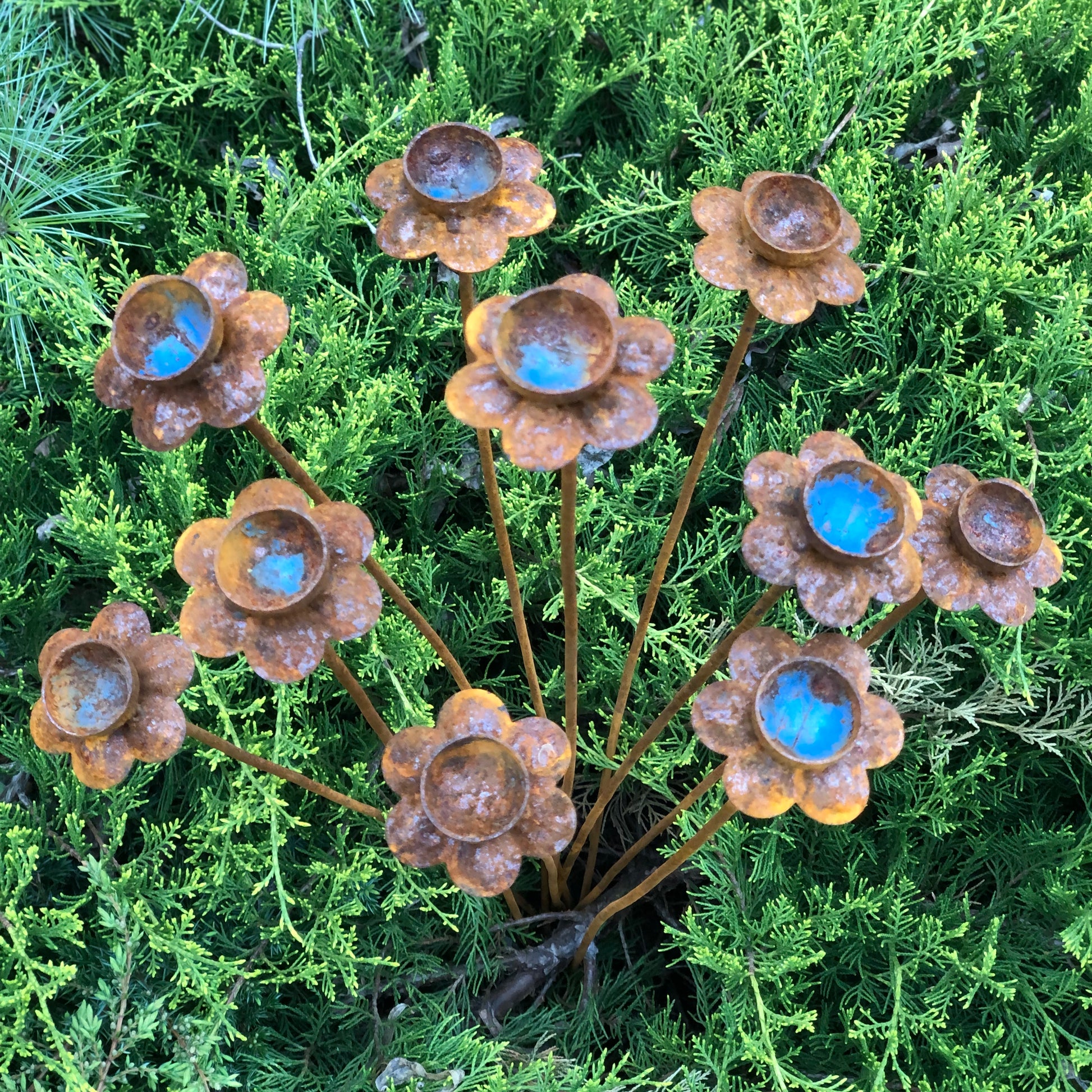 Set of 10 rusty Daffodil flowers, Narcissus head garden decoration, Metal garden decor, metal yard art, outdoor metal decor