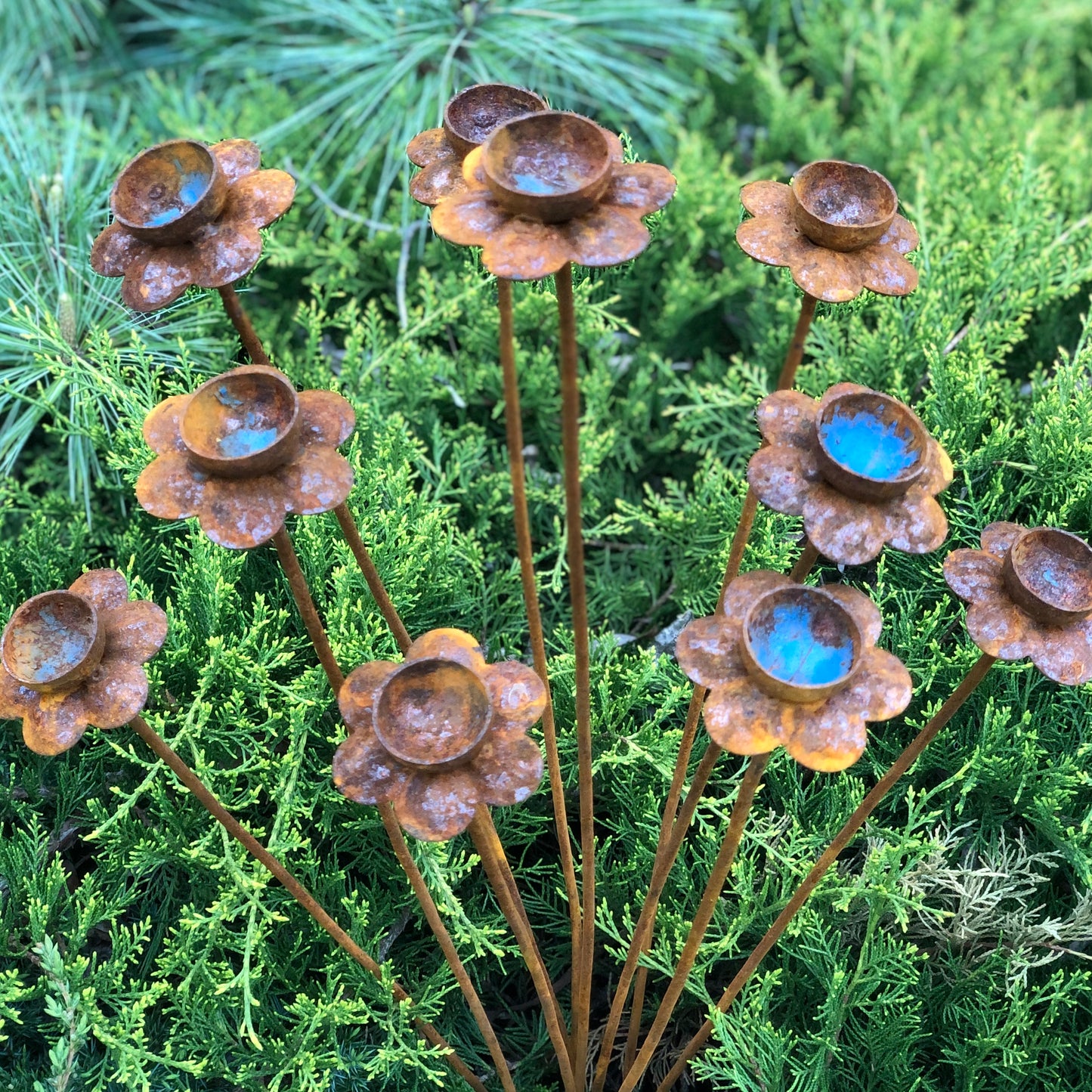 Set of 10 rusty Daffodil flowers, Narcissus head garden decoration, Metal garden decor, metal yard art, outdoor metal decor