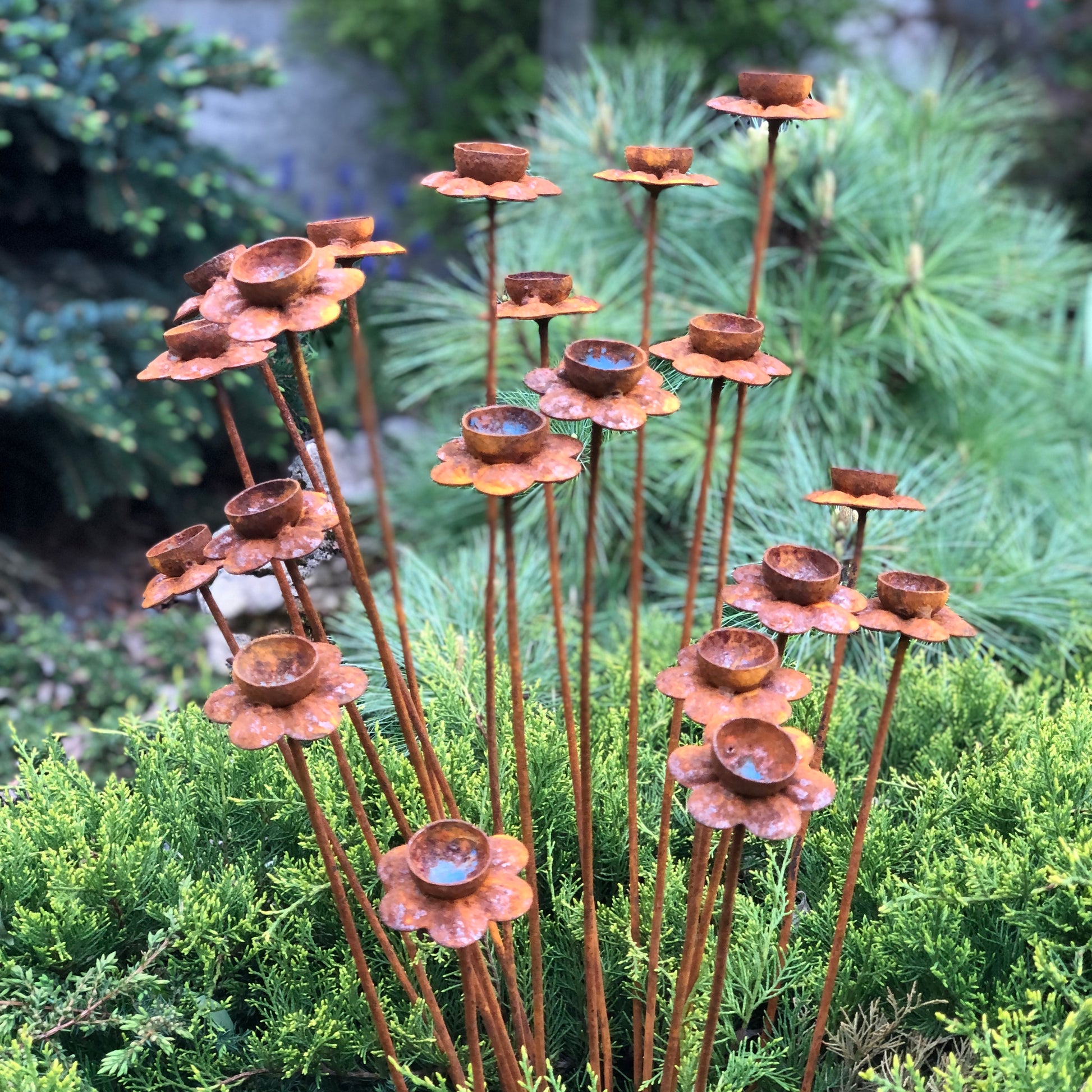 Set of 20 rusty Daffodil flowers, Narcissus head garden decoration, Metal garden decor, metal yard art, outdoor metal decor