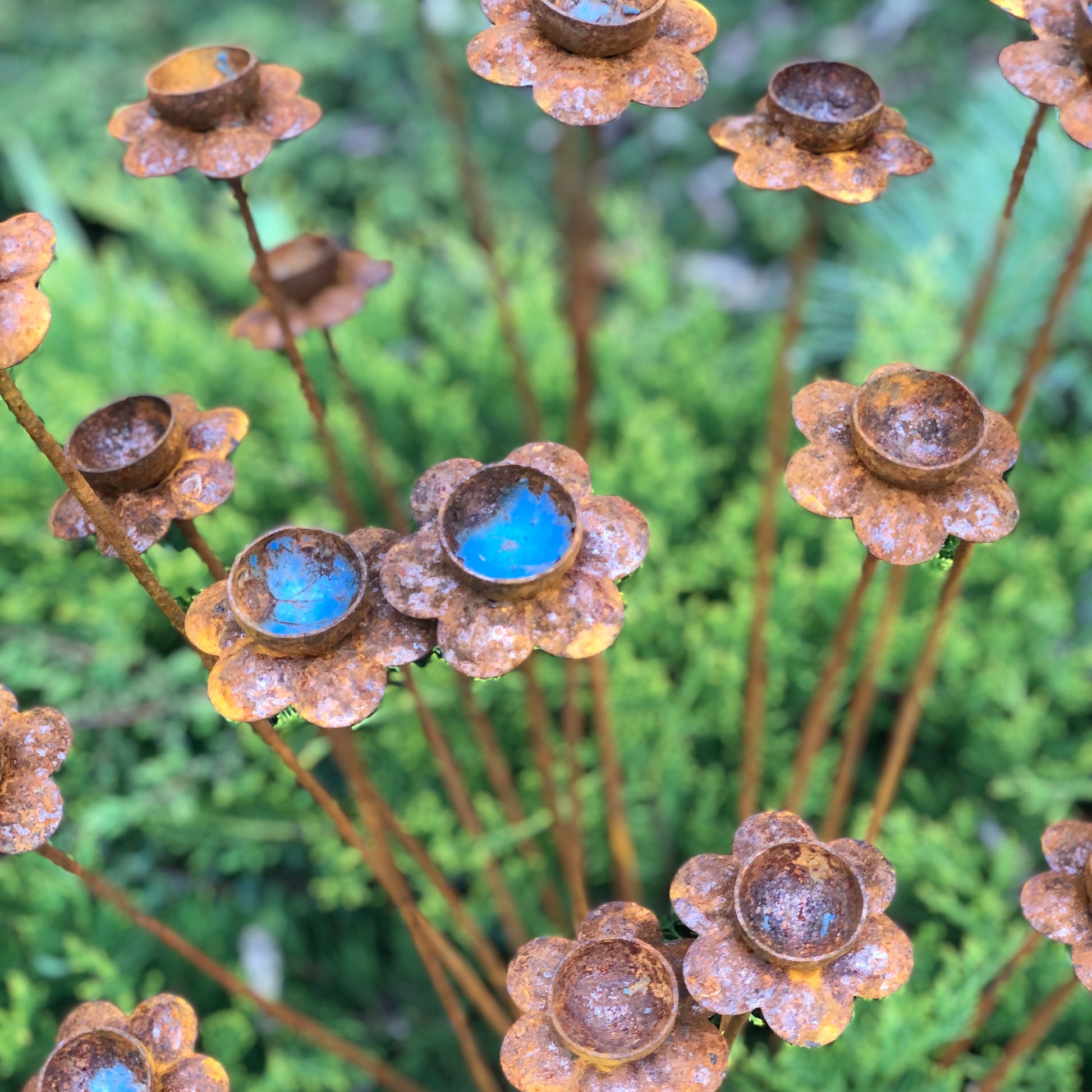 Set of 20 rusty Daffodil flowers, Narcissus head garden decoration, Metal garden decor, metal yard art, outdoor metal decor