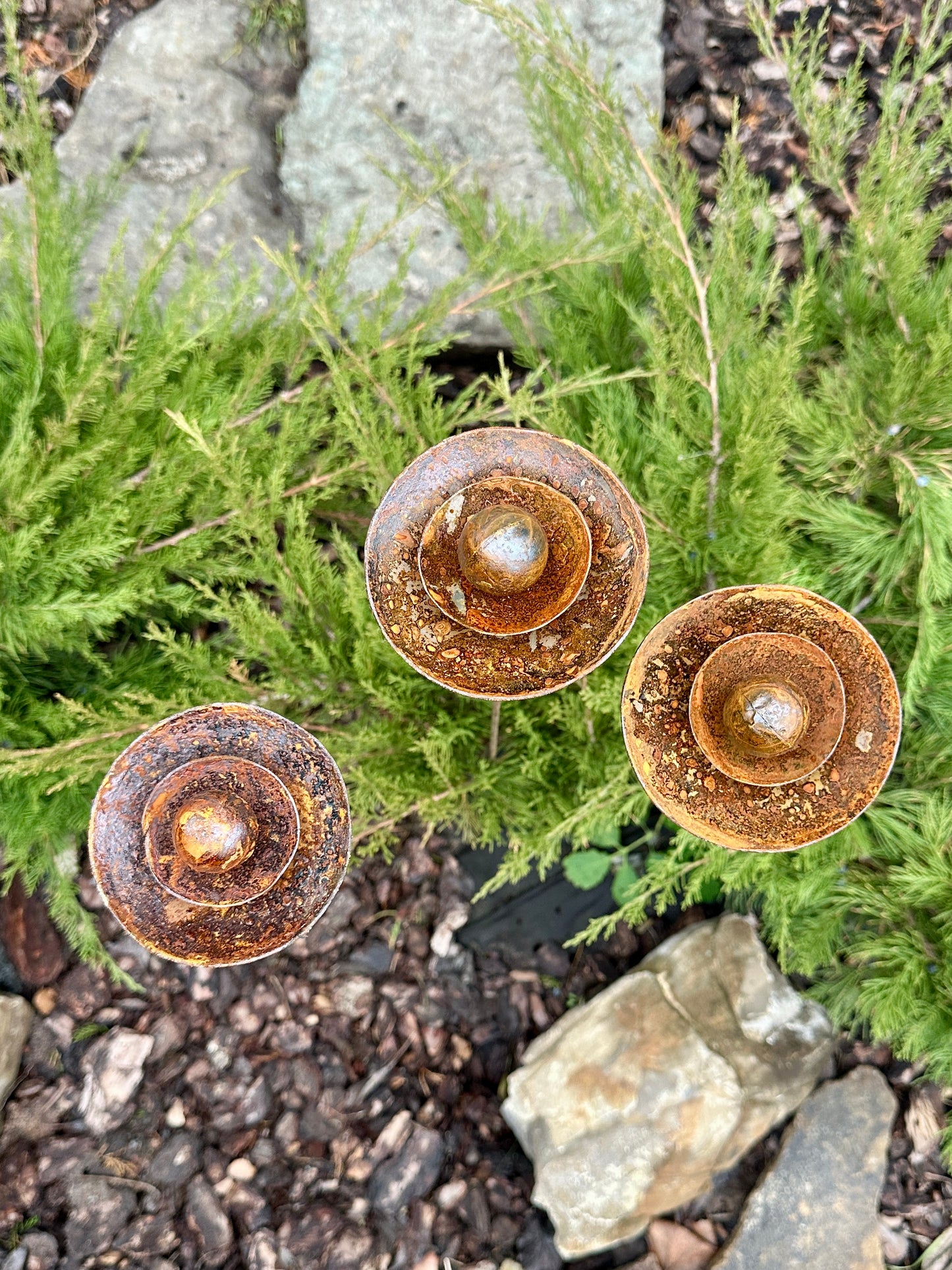 Set of 3 Rusty Metal Flowers, Garden Decorations, Handmade Outdoor Decor for Backyards, Rustic Landscaping, Garden Art, Bee Butterfly Cups