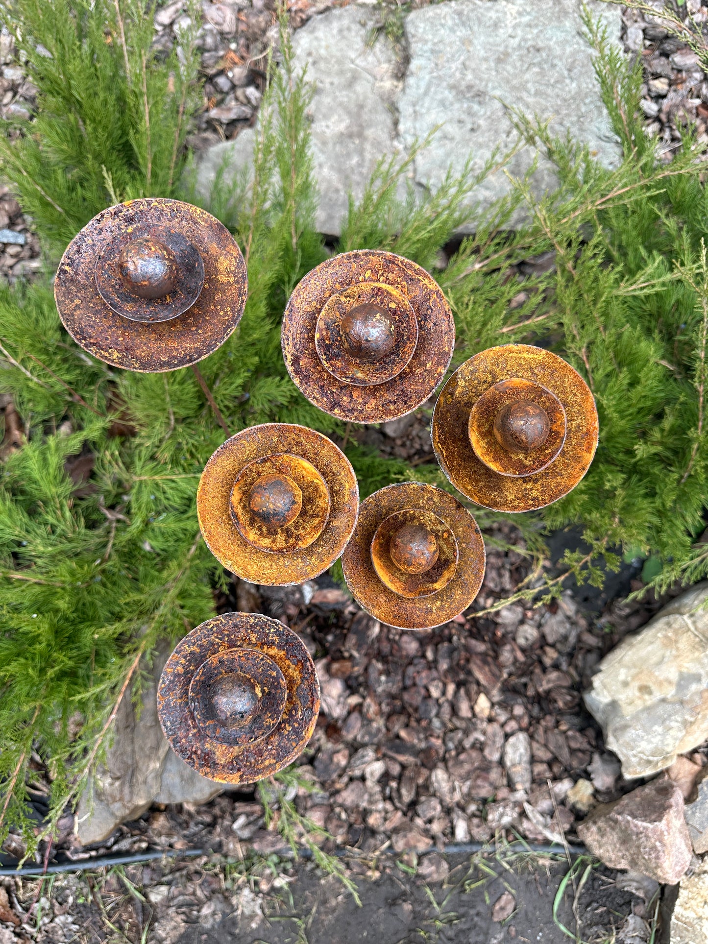 Set of 6 Rusty Metal Flowers, Garden Decorations, Handmade Outdoor Decor for Backyards, Rustic Landscaping, Garden Art, Bee Butterfly Cups