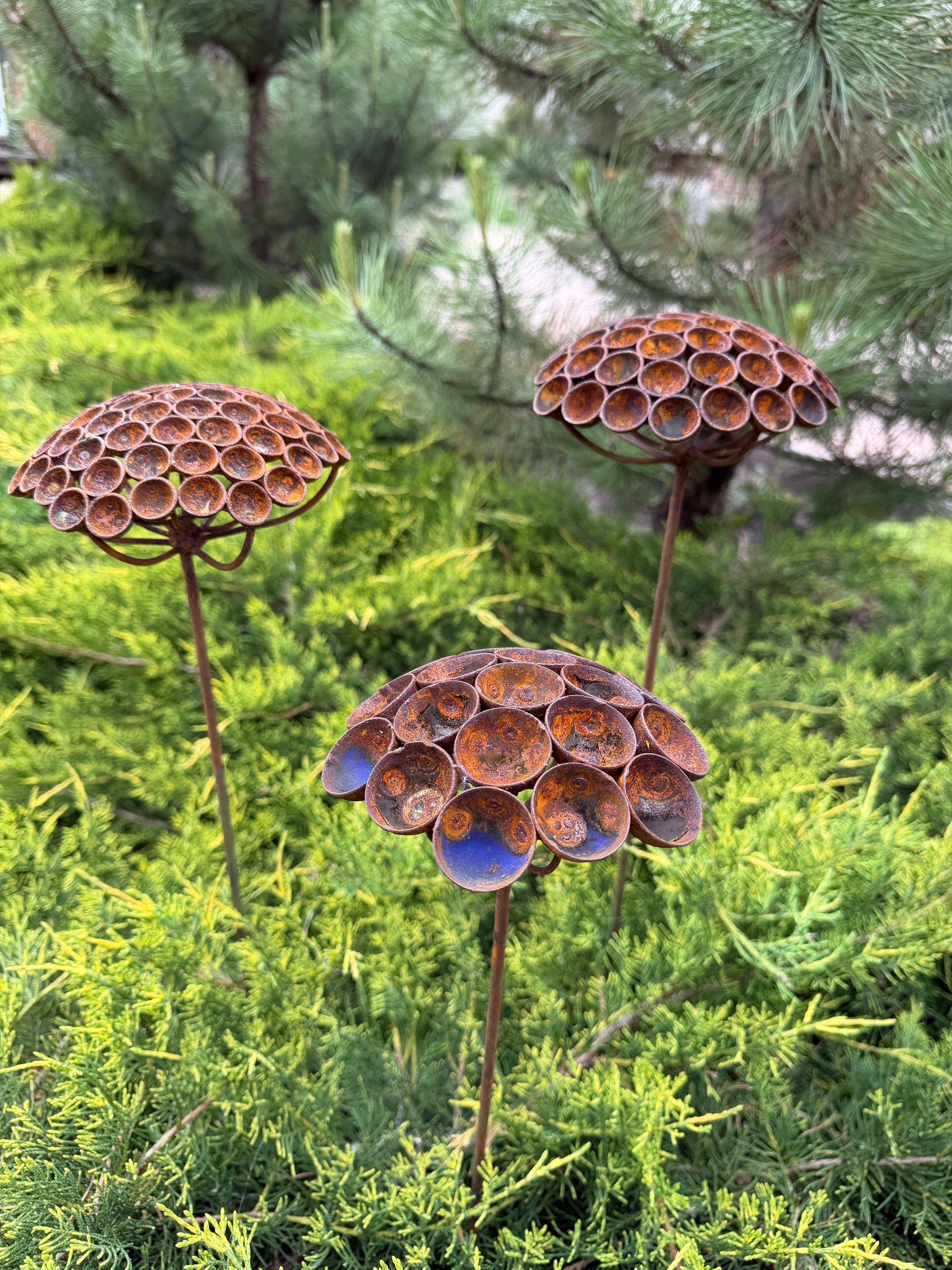 Three metal flower sculptures with a rusted finish on a green grass background