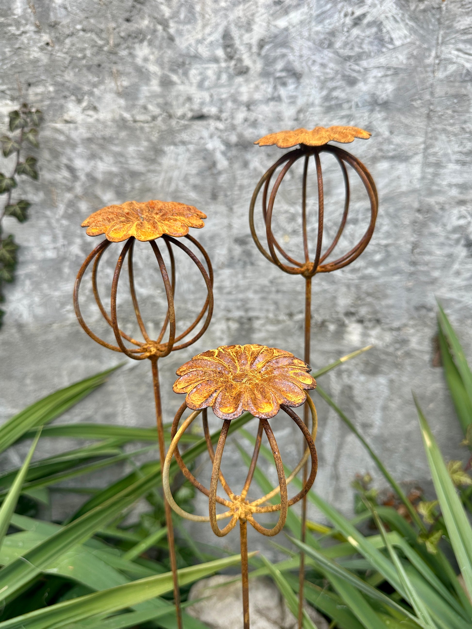 the rusted garden seed shop Rusty Flowers Set of 3, Poppy Seed Head Garden Decor, Metal Garden Art – Pava Garden Boutique