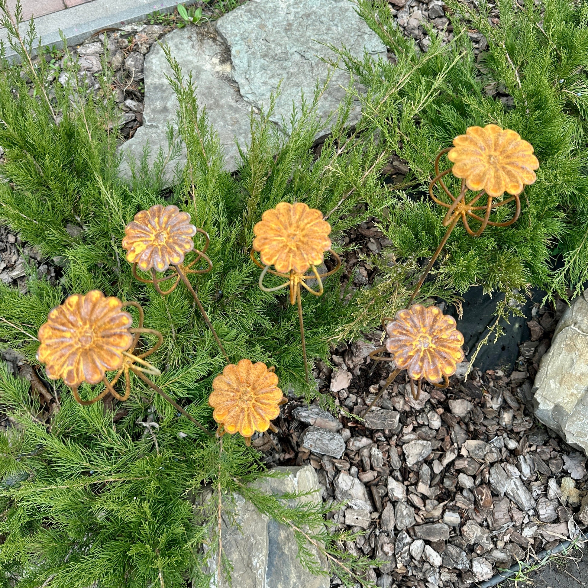 Rusty Flowers Set of 6, Poppy Seed Head Garden Decor, Metal Garden Art, Metal Yard Ornaments, Outdoor Metal Decor, Rustic Metal Sculpture 