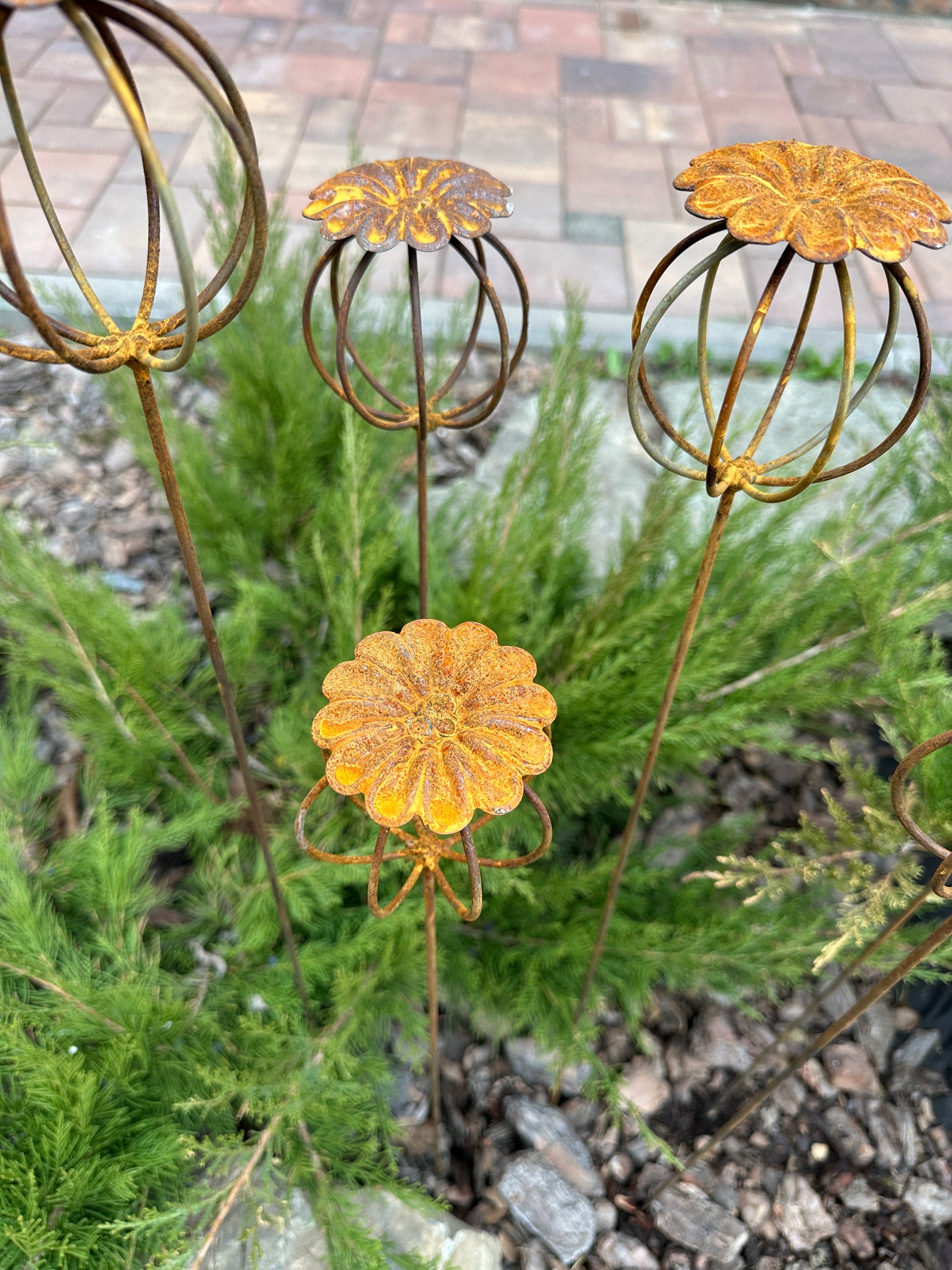 Rusty Flowers Set of 6, Poppy Seed Head Garden Decor, Metal Garden Art, Metal Yard Ornaments, Outdoor Metal Decor, Rustic Metal Sculpture 