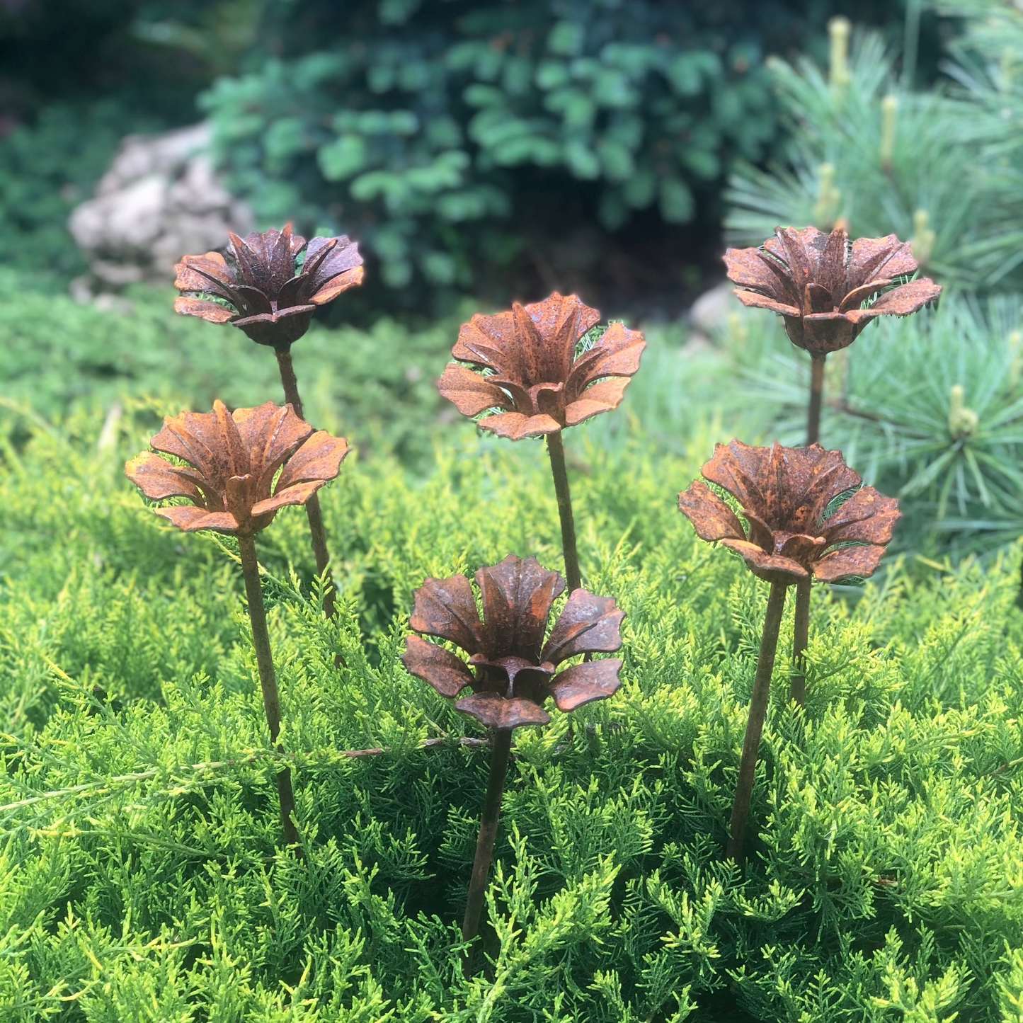 Rusty flowers set of 6, 6 Rusty flowers garden stakes, Metal garden decor, metal yard art, outdoor metal decor, Rusty metal garden decor