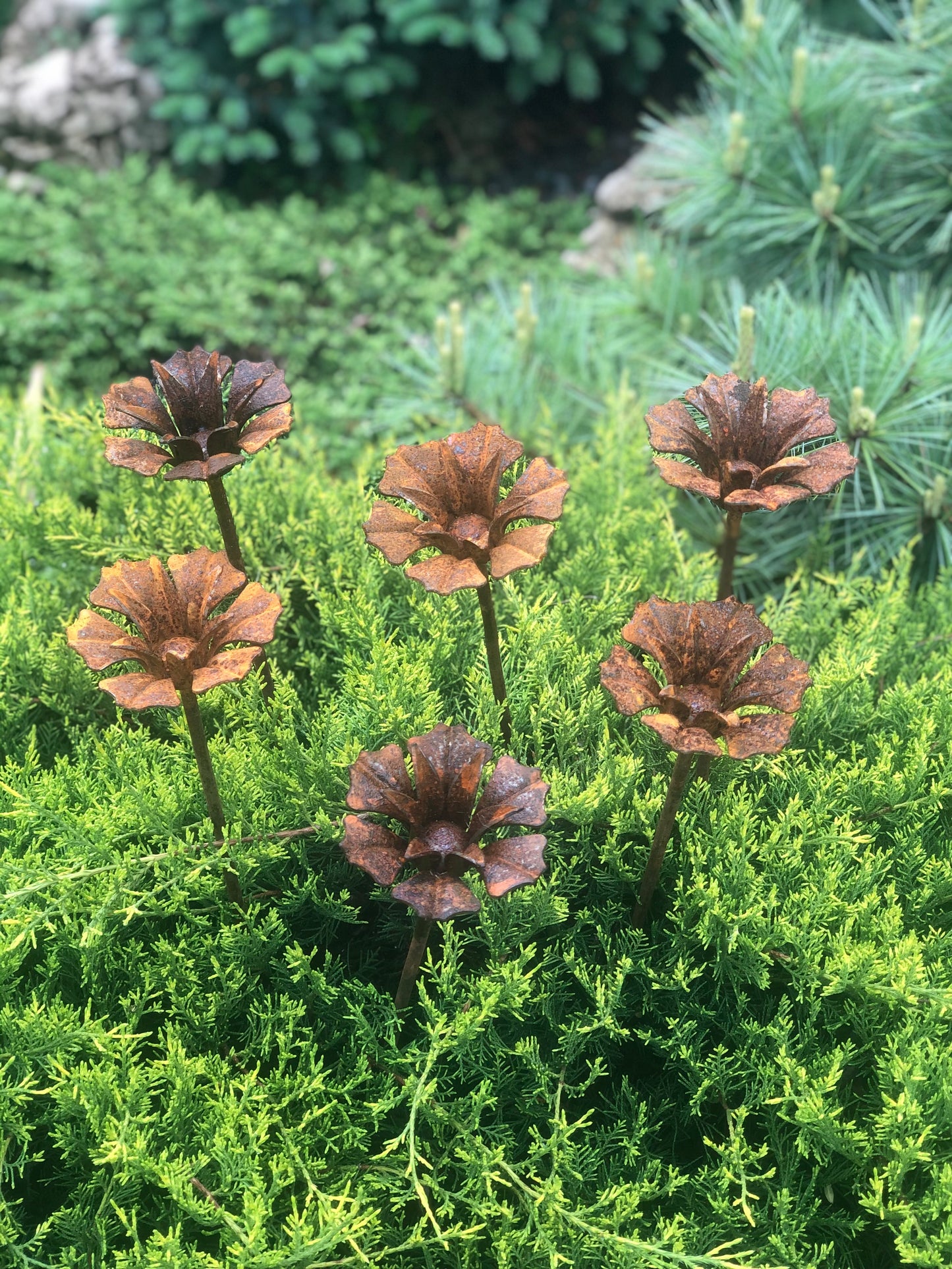 Rusty flowers set of 6, 6 Rusty flowers garden stakes, Metal garden decor, metal yard art, outdoor metal decor, Rusty metal garden decor