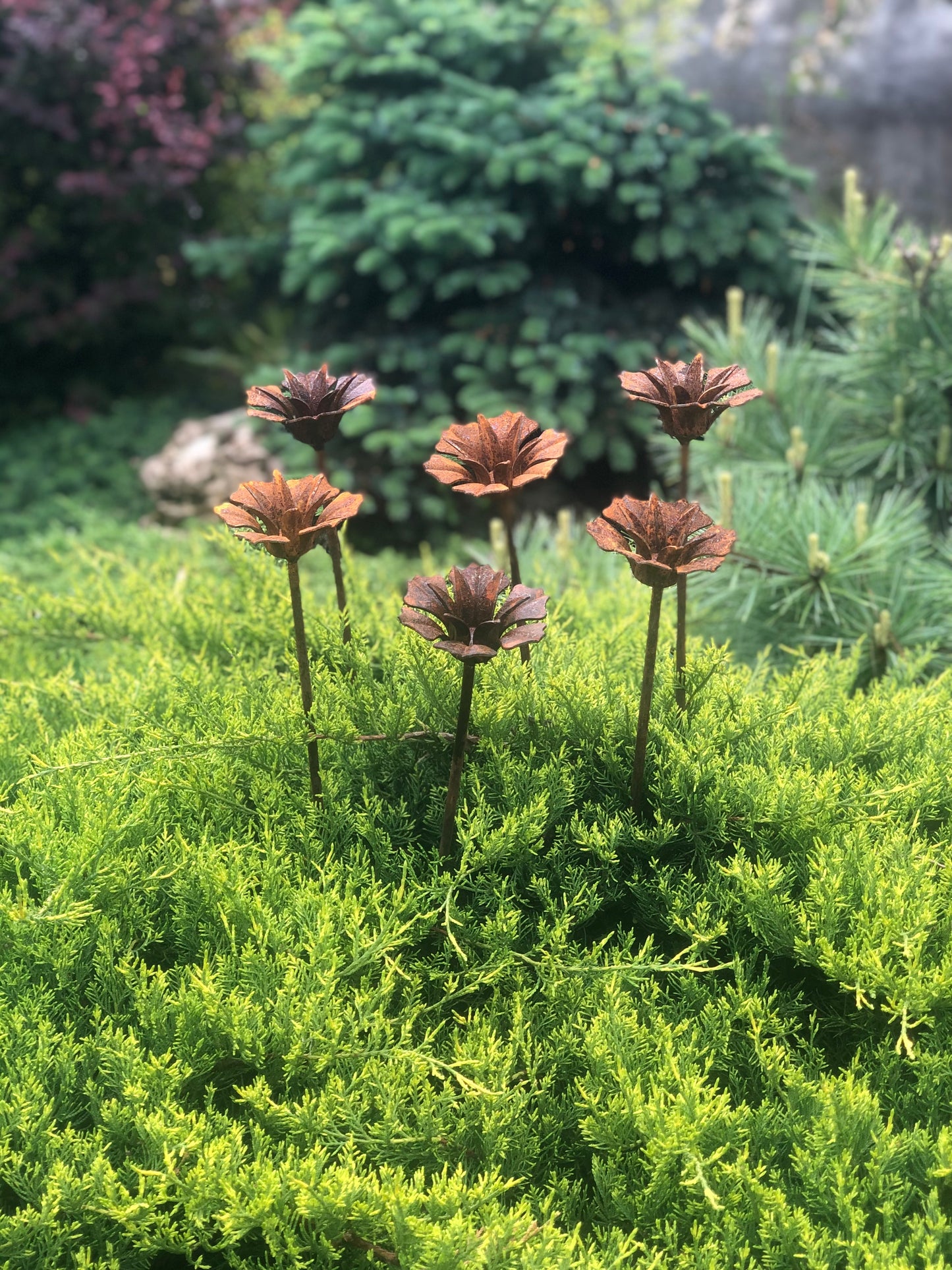 Rusty flowers set of 6, 6 Rusty flowers garden stakes, Metal garden decor, metal yard art, outdoor metal decor, Rusty metal garden decor