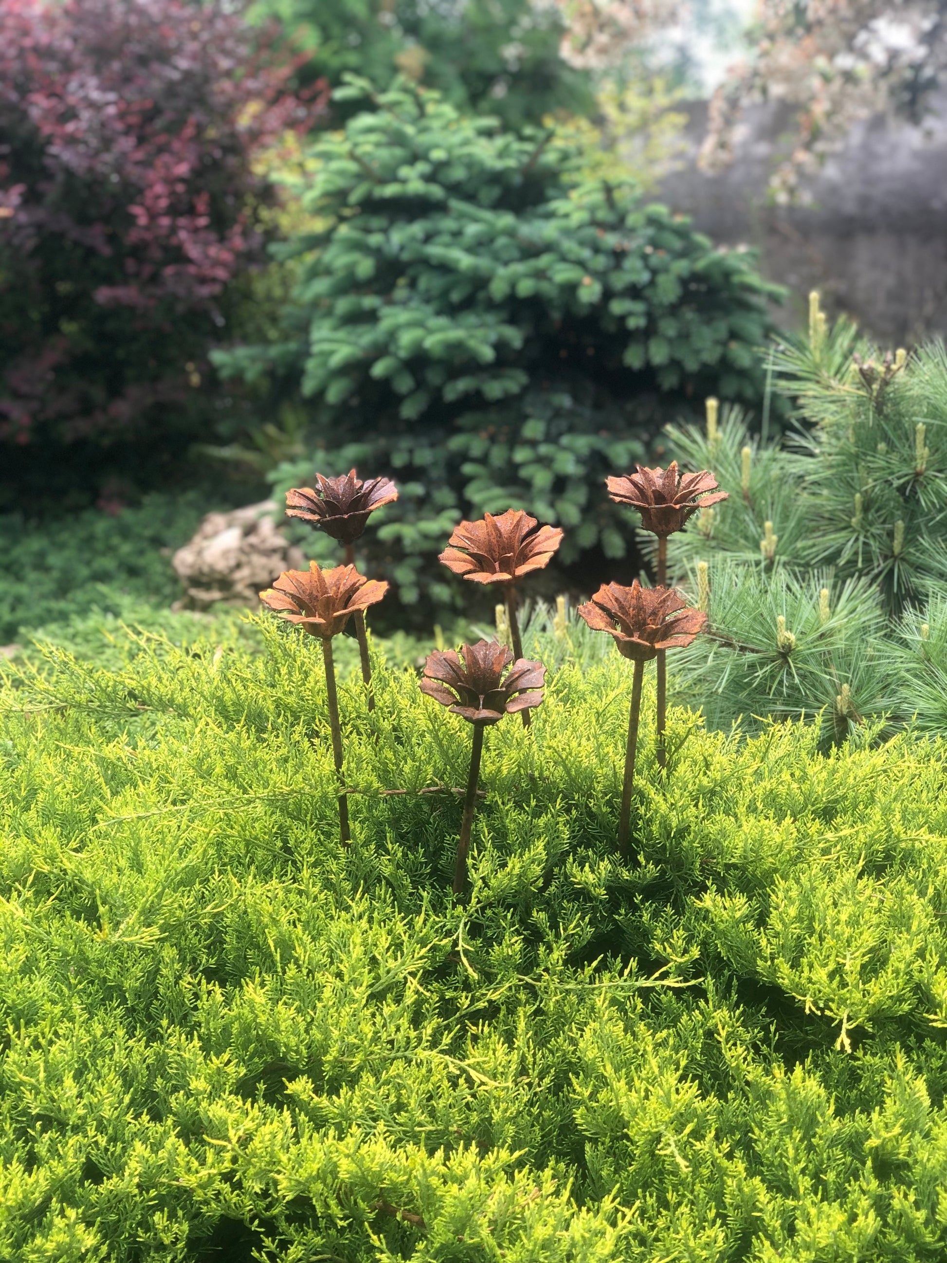 Rusty flowers set of 6, 6 Rusty flowers garden stakes, Metal garden decor, metal yard art, outdoor metal decor, Rusty metal garden decor