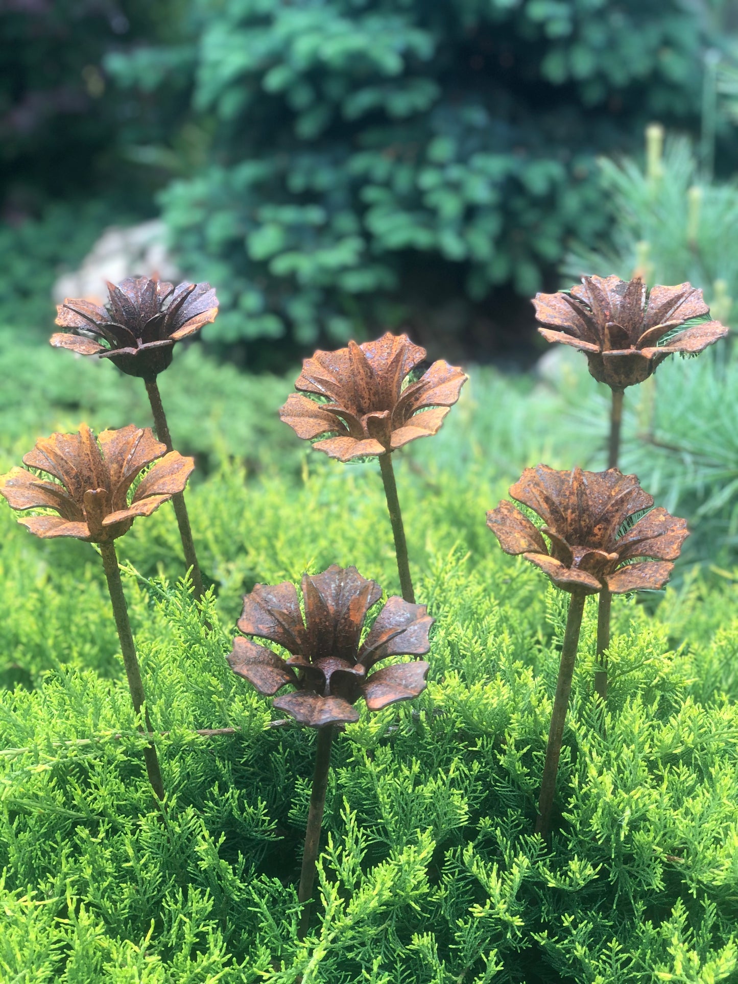 Rusty flowers set of 6, 6 Rusty flowers garden stakes, Metal garden decor, metal yard art, outdoor metal decor, Rusty metal garden decor