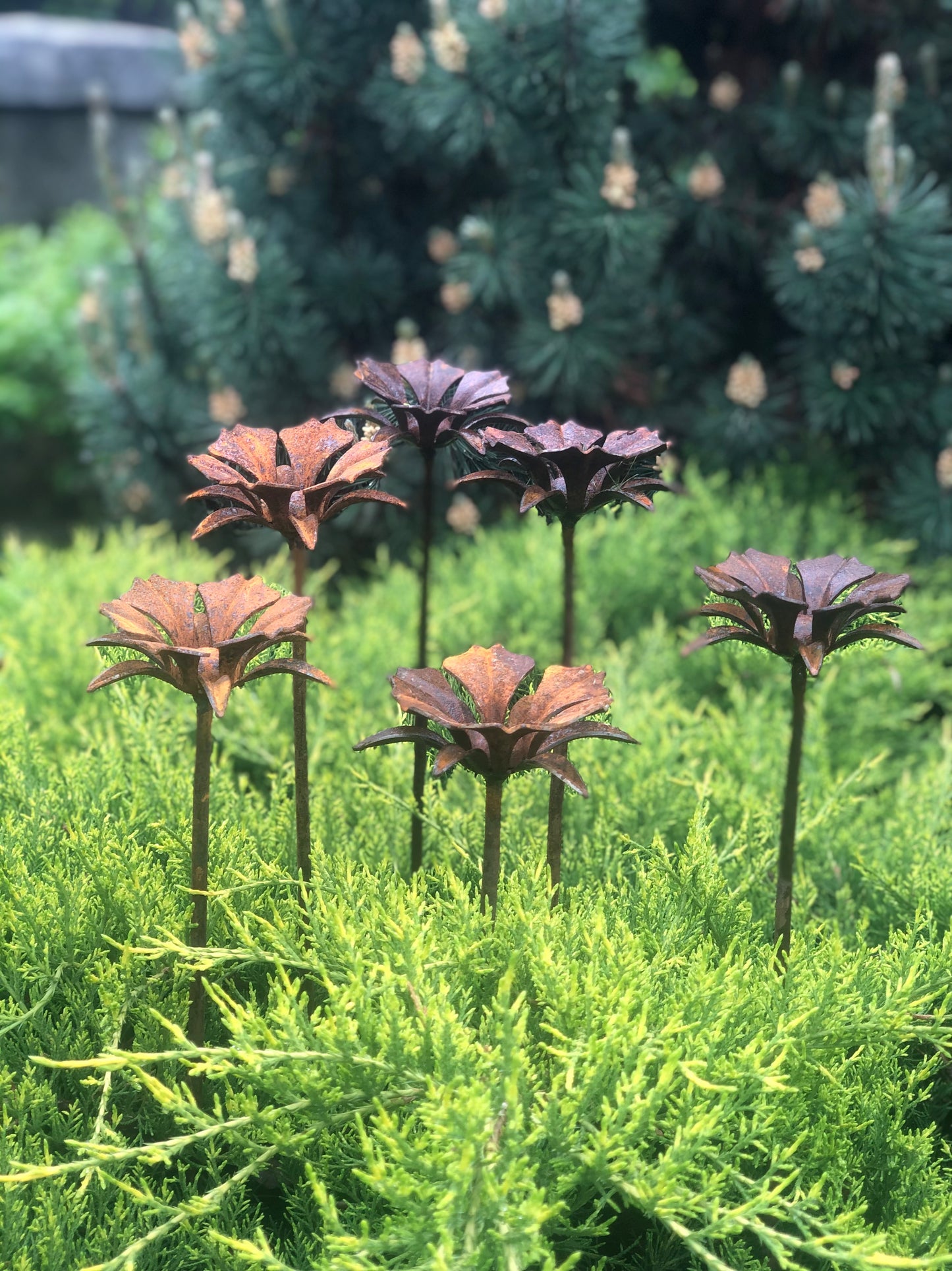 Rusty flowers set of 6, 6 Rusty flowers garden stakes, Metal garden decor, metal yard art, outdoor metal decor, Rusty metal garden decor