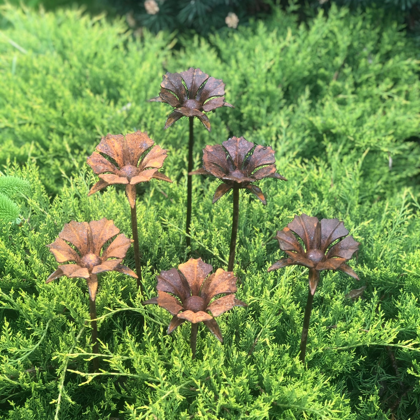 Rusty flowers set of 6, 6 Rusty flowers garden stakes, Metal garden decor, metal yard art, outdoor metal decor, Rusty metal garden decor