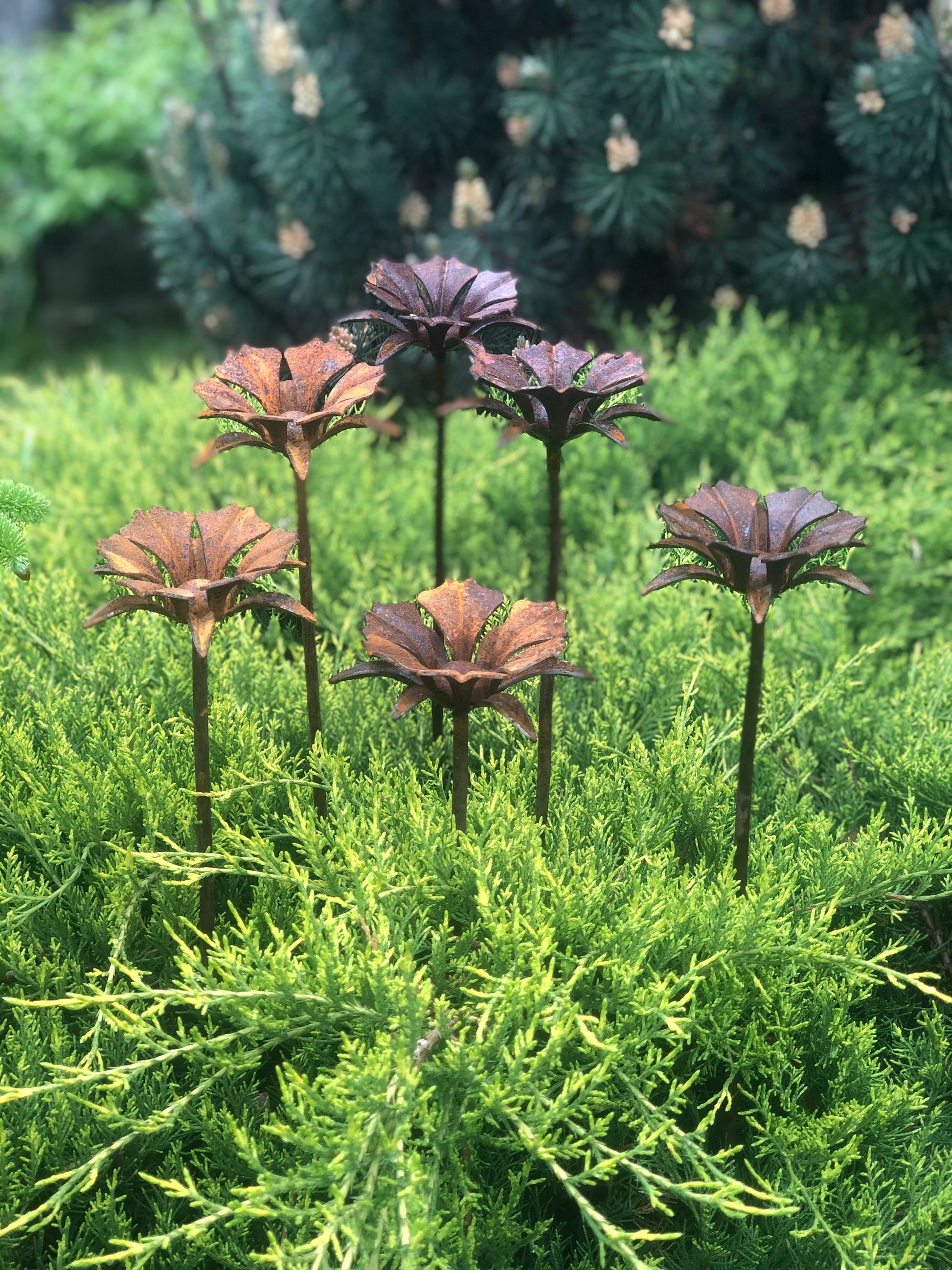 Rusty flowers set of 6, 6 Rusty flowers garden stakes, Metal garden decor, metal yard art, outdoor metal decor, Rusty metal garden decor