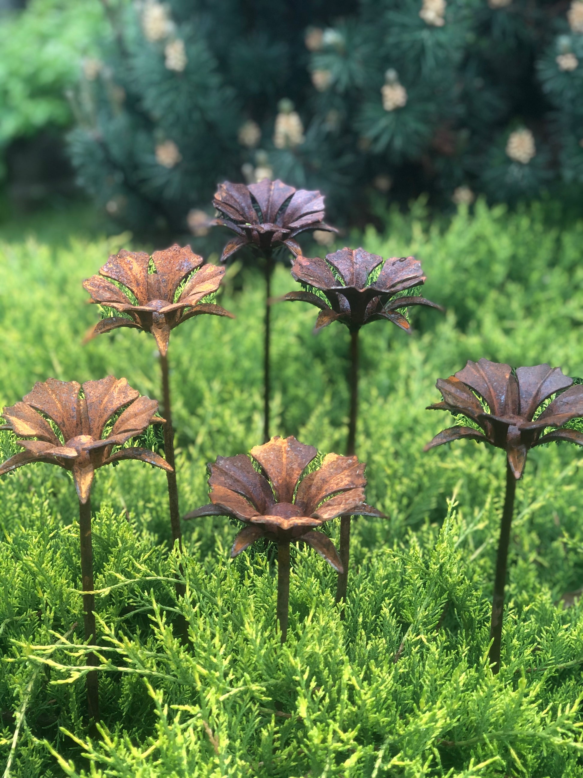 Rusty flowers set of 6, 6 Rusty flowers garden stakes, Metal garden decor, metal yard art, outdoor metal decor, Rusty metal garden decor