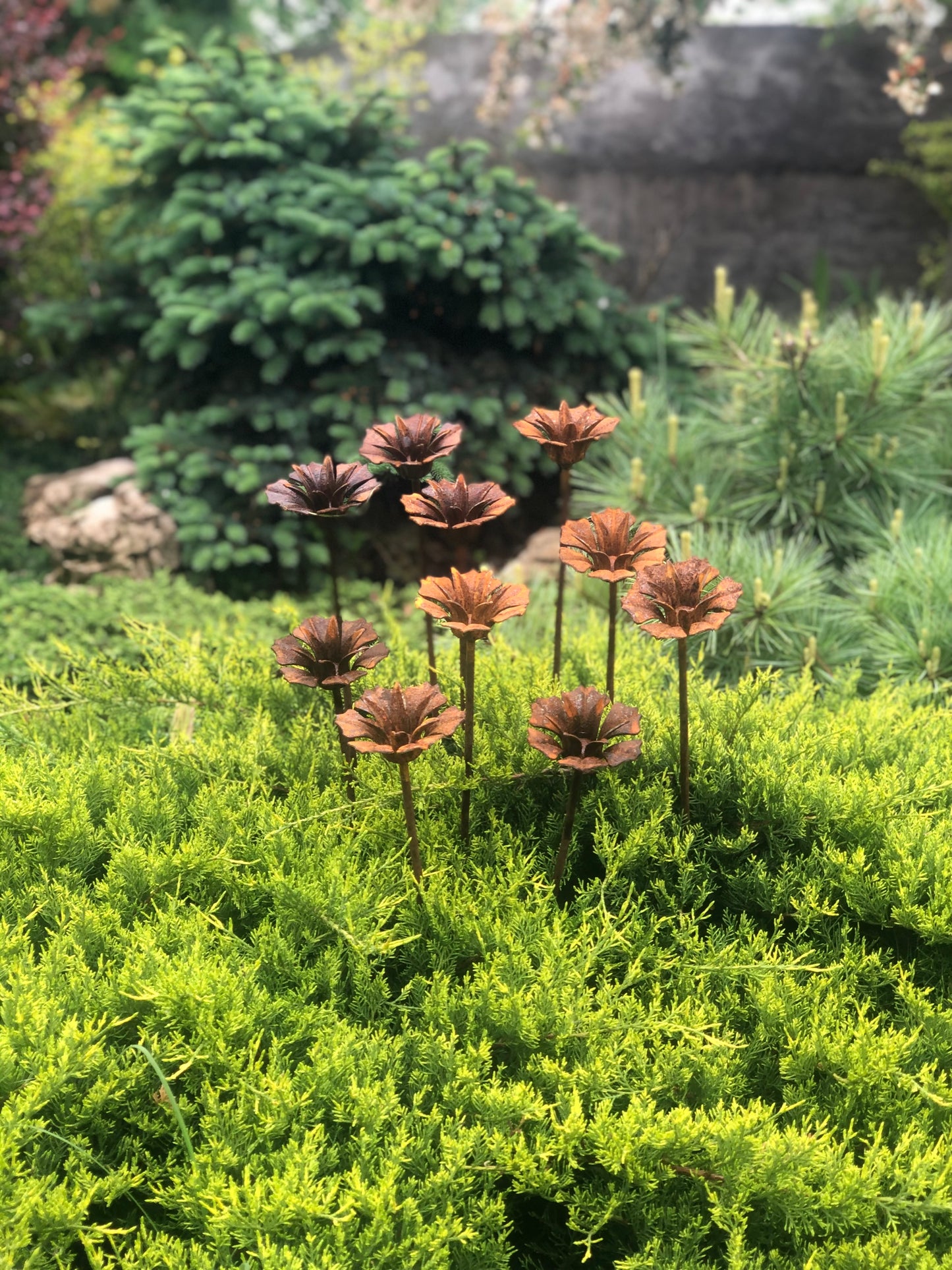 Rusty flowers set of 10, 10 Rusty flowers garden stakes, Metal garden decor, metal yard art, outdoor metal decor, Rusty metal garden decor