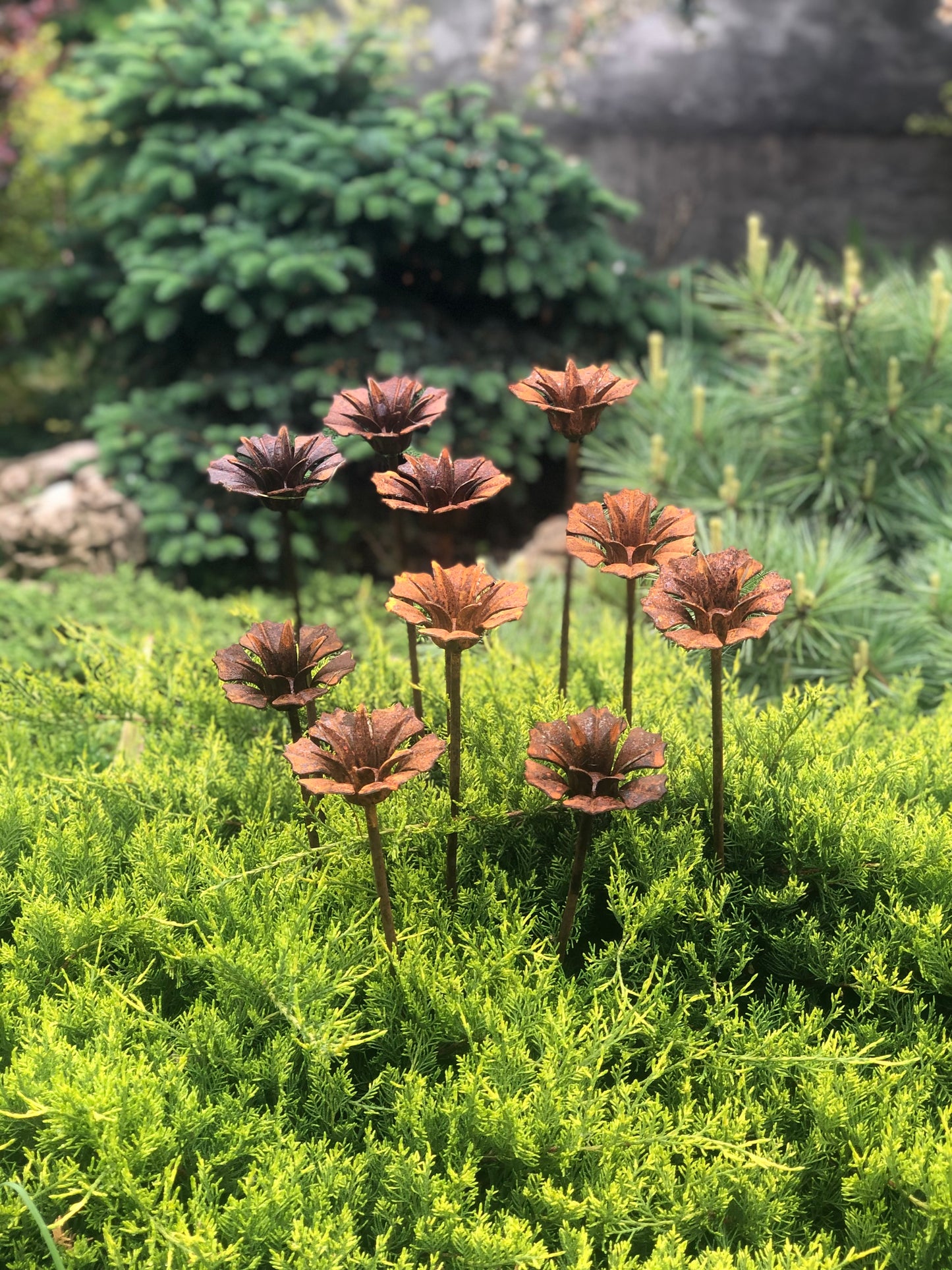 Rusty flowers set of 10, 10 Rusty flowers garden stakes, Metal garden decor, metal yard art, outdoor metal decor, Rusty metal garden decor