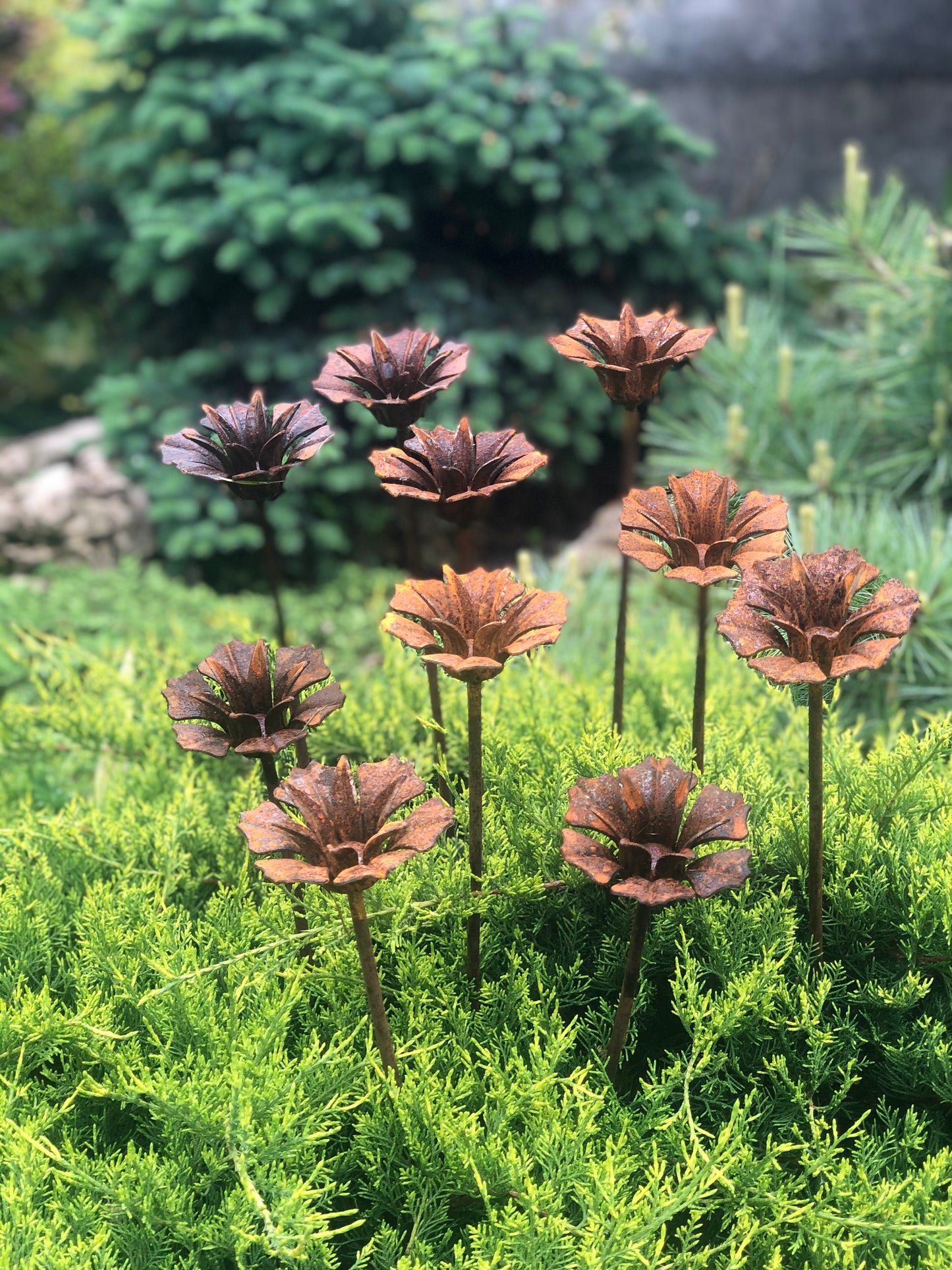 Rusty flowers set of 10, 10 Rusty flowers garden stakes, Metal garden decor, metal yard art, outdoor metal decor, Rusty metal garden decor