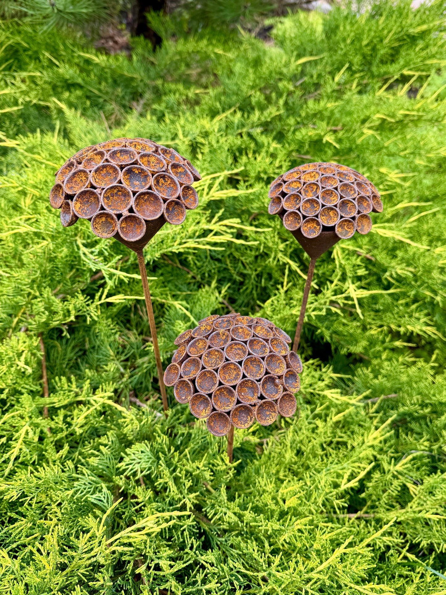 Set of 3 Rusty Metal Exotic Flowers - Sculptural Garden Stakes and Unique Yard Art