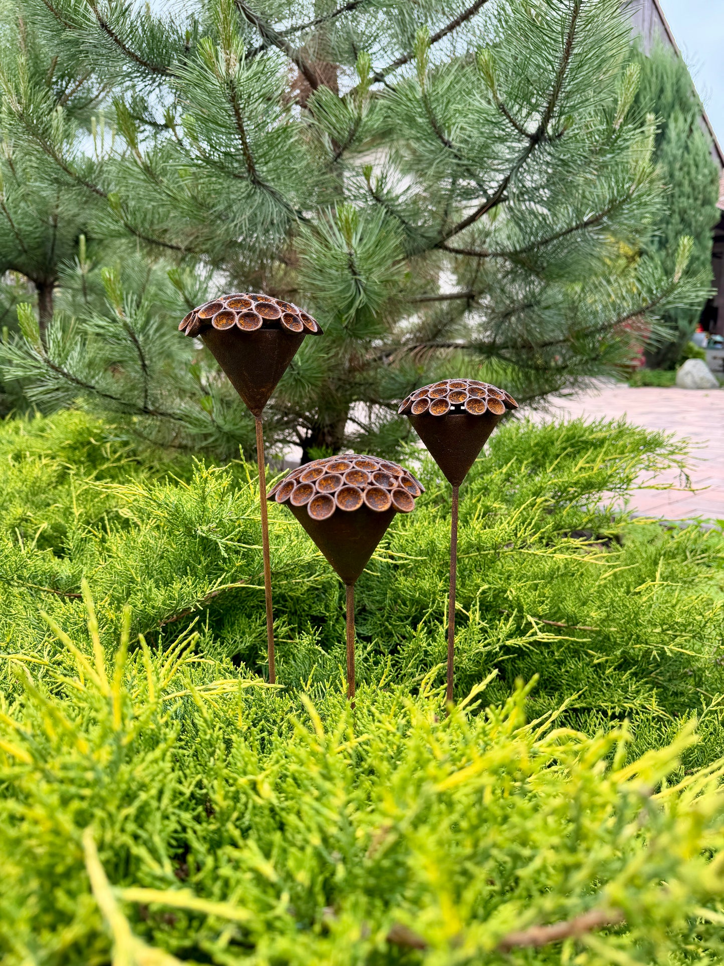 Set of 3 Rusty Metal Exotic Flowers - Sculptural Garden Stakes and Unique Yard Art