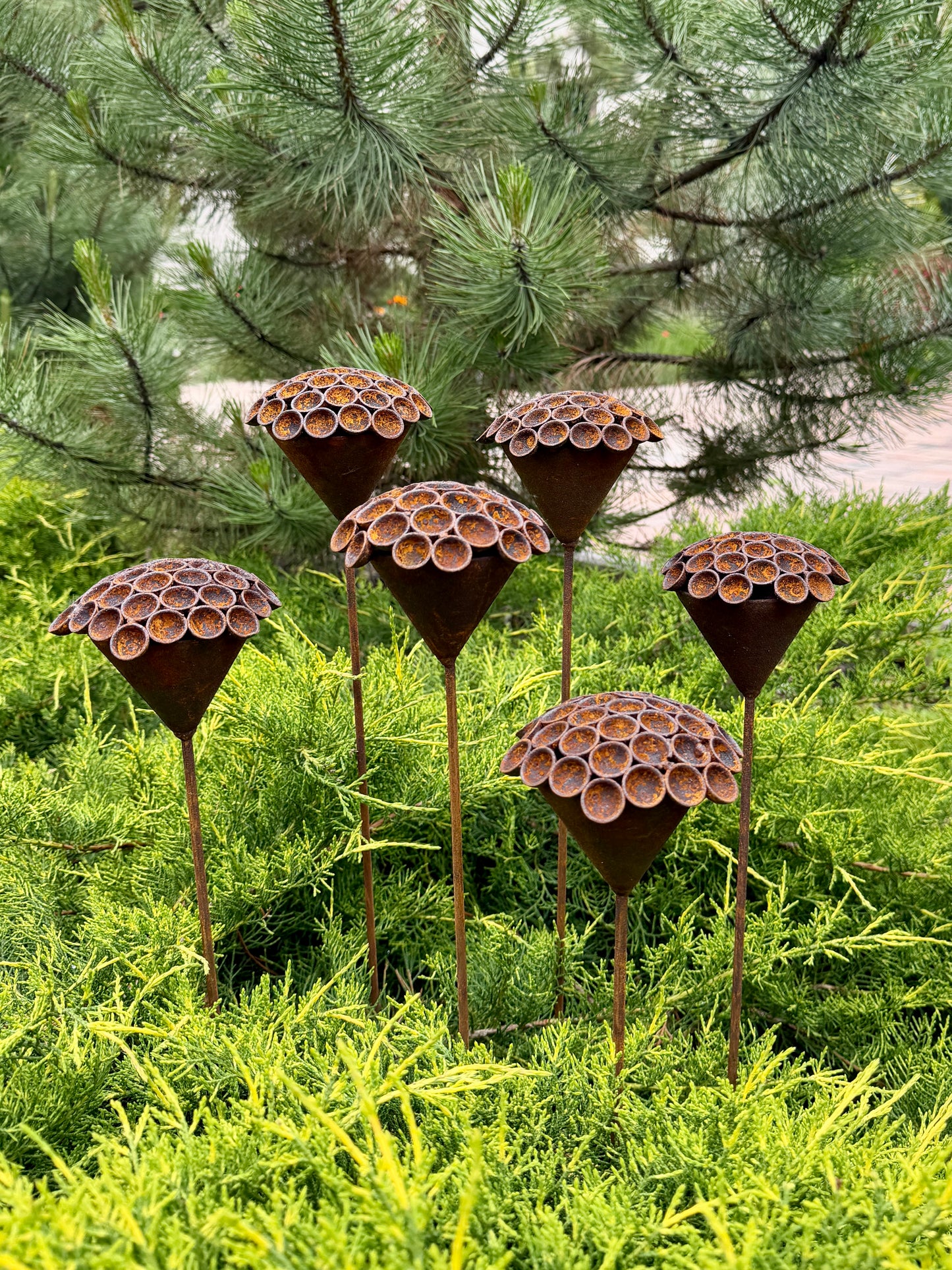 Set of 6 Rusty Metal Flowers - Sculptural Garden Stakes and Unique Yard Art