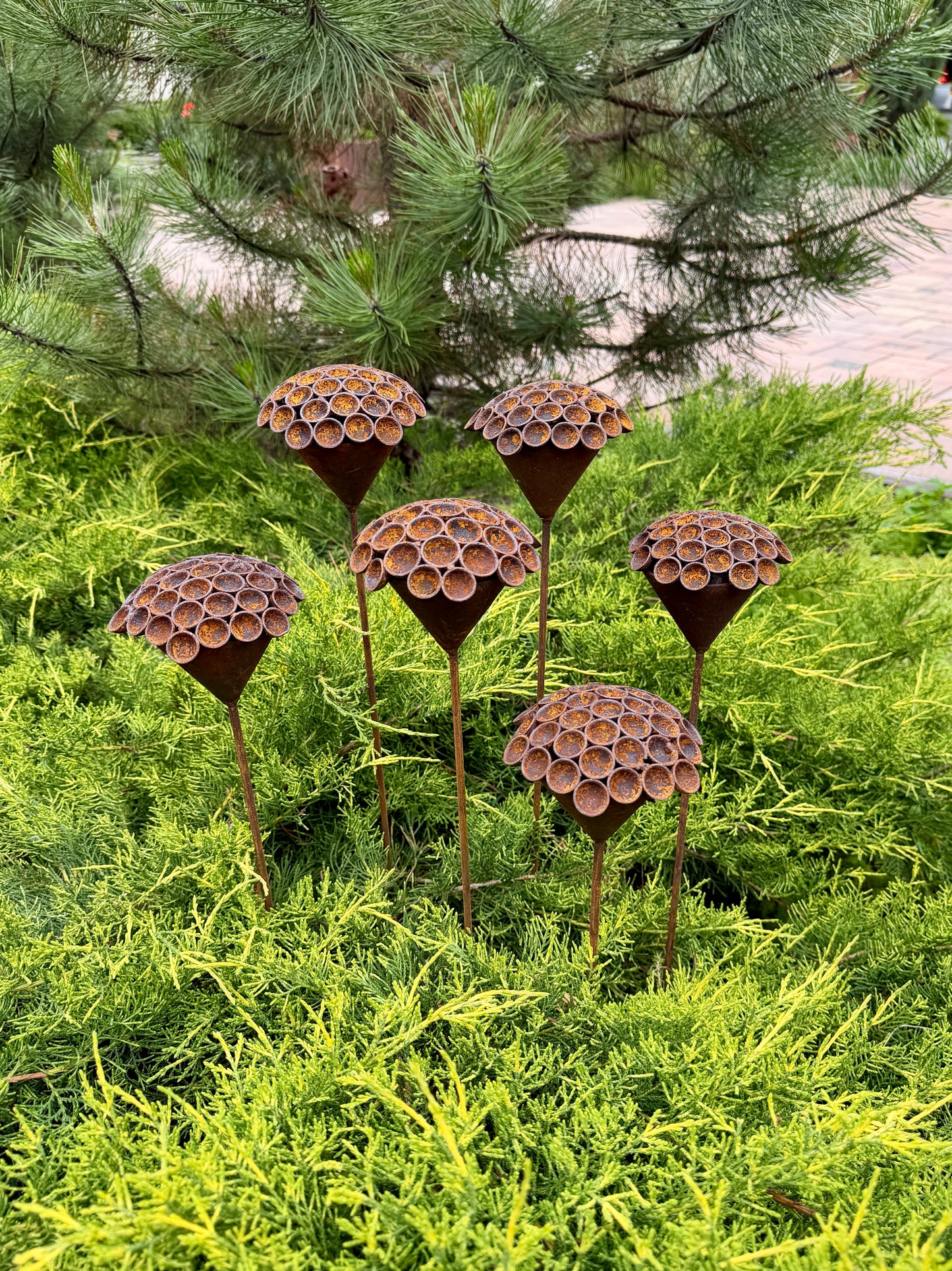 Set of 6 Rusty Metal Flowers - Sculptural Garden Stakes and Unique Yard Art