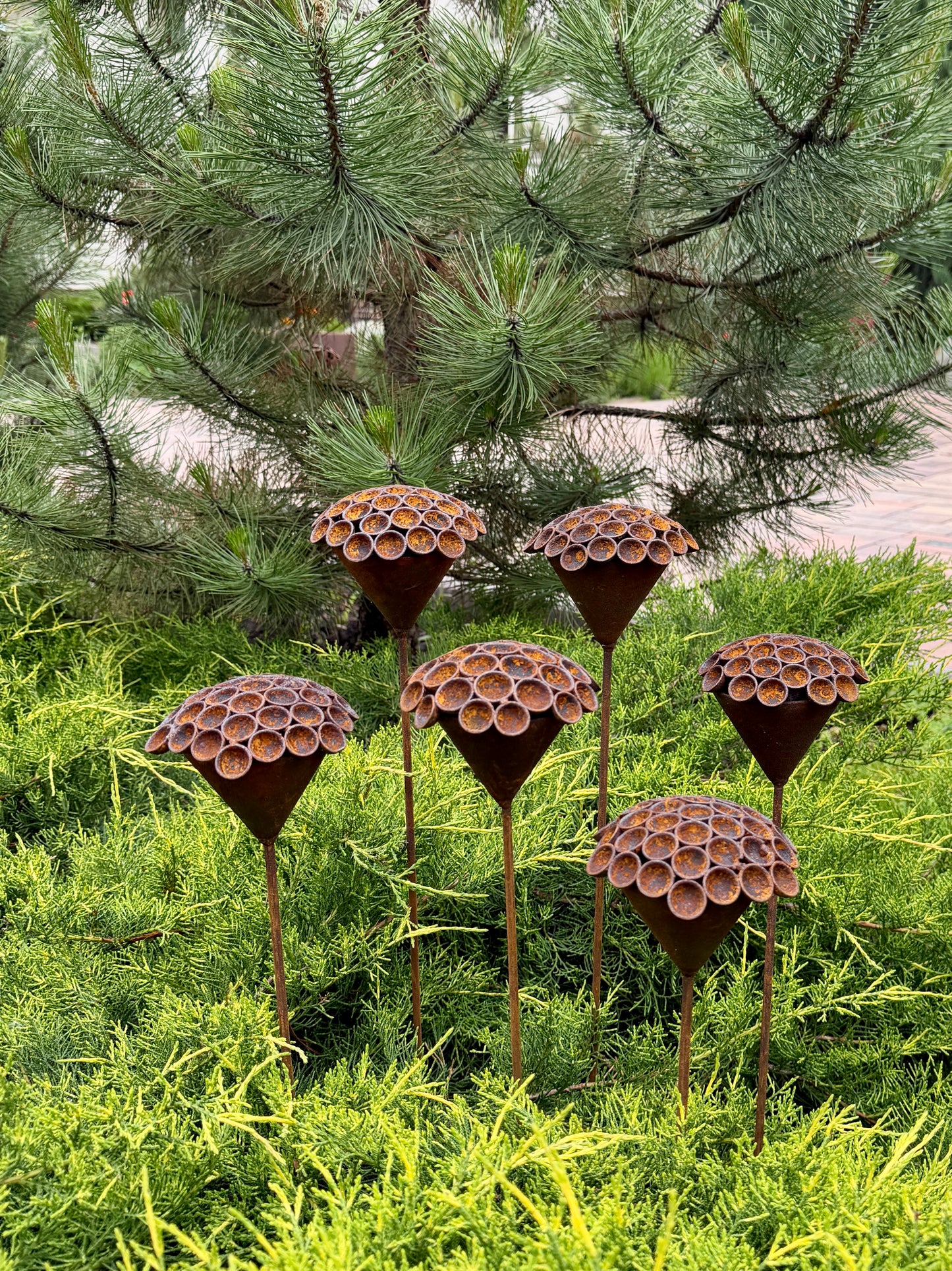 Set of 6 Rusty Metal Flowers - Sculptural Garden Stakes and Unique Yard Art