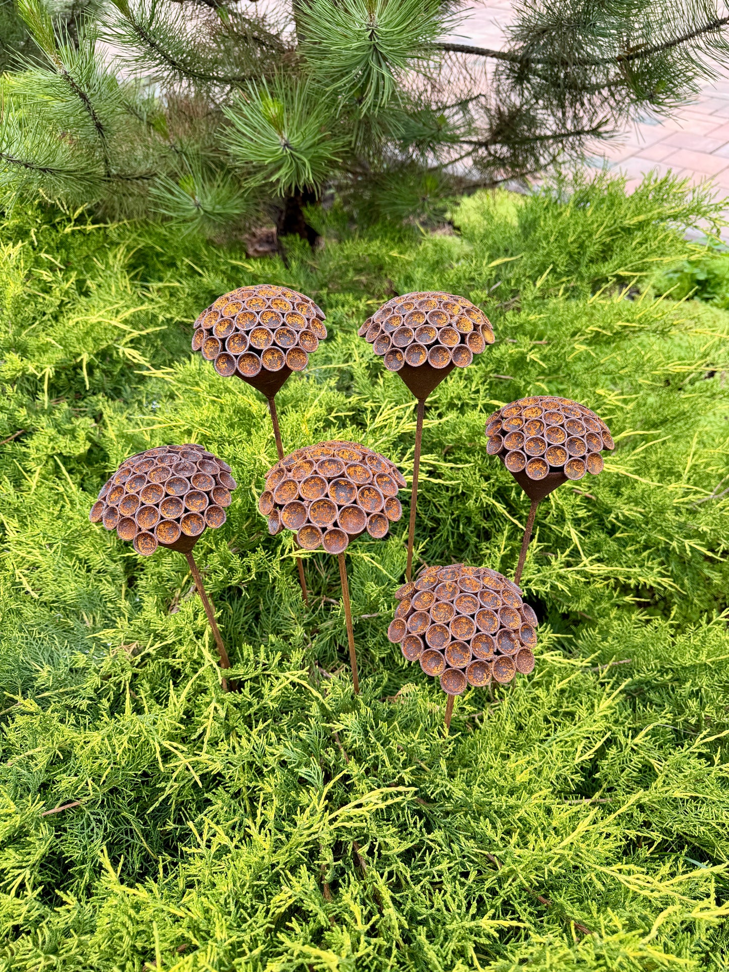 Set of 6 Rusty Metal Flowers - Sculptural Garden Stakes and Unique Yard Art