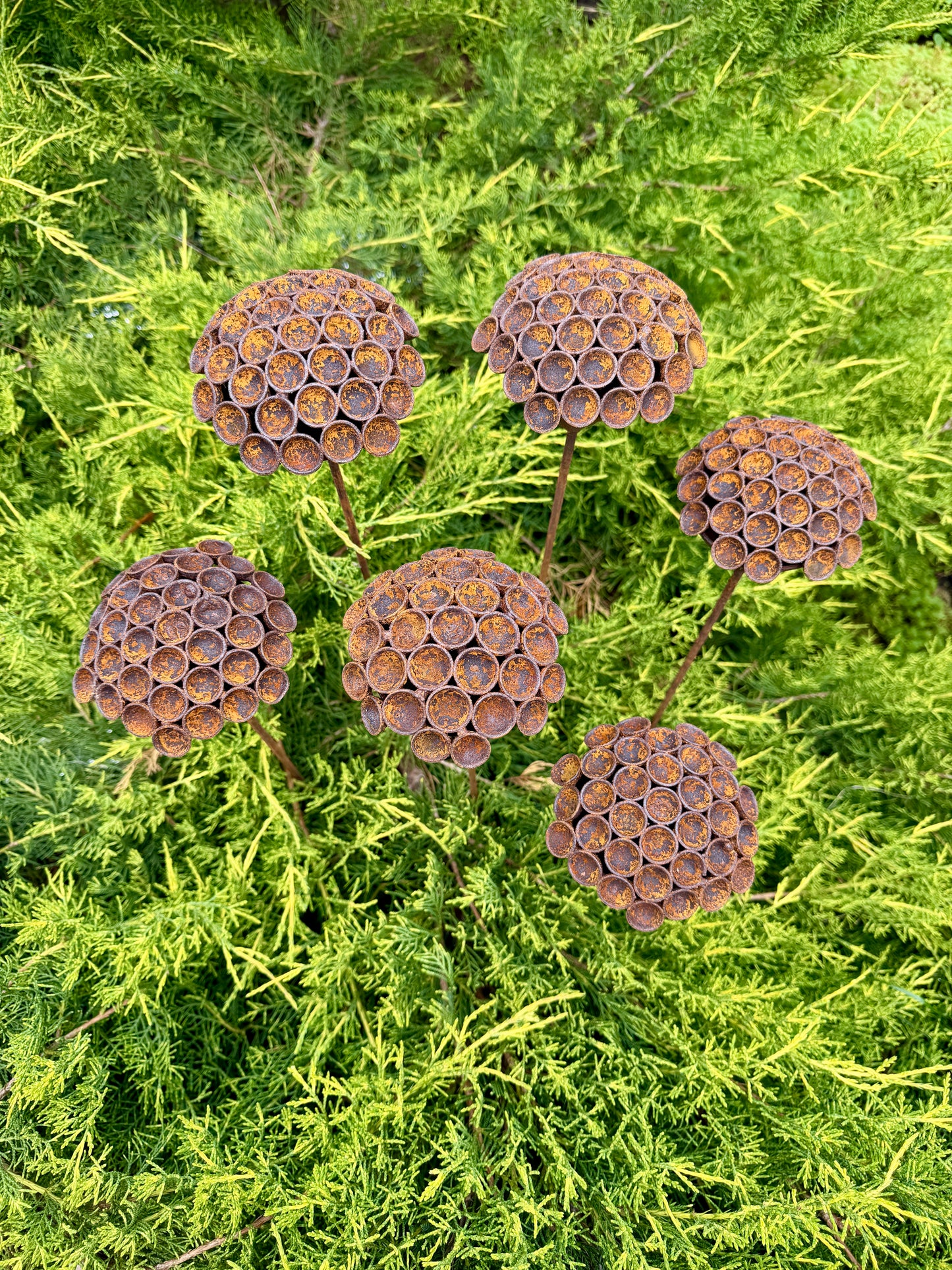 Set of 6 Rusty Metal Flowers - Sculptural Garden Stakes and Unique Yard Art