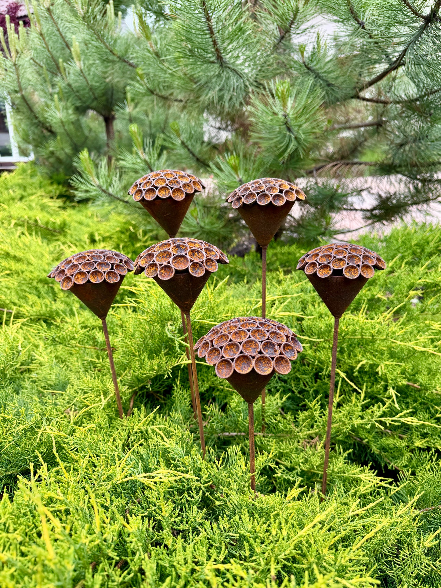 Set of 6 Rusty Metal Flowers - Sculptural Garden Stakes and Unique Yard Art